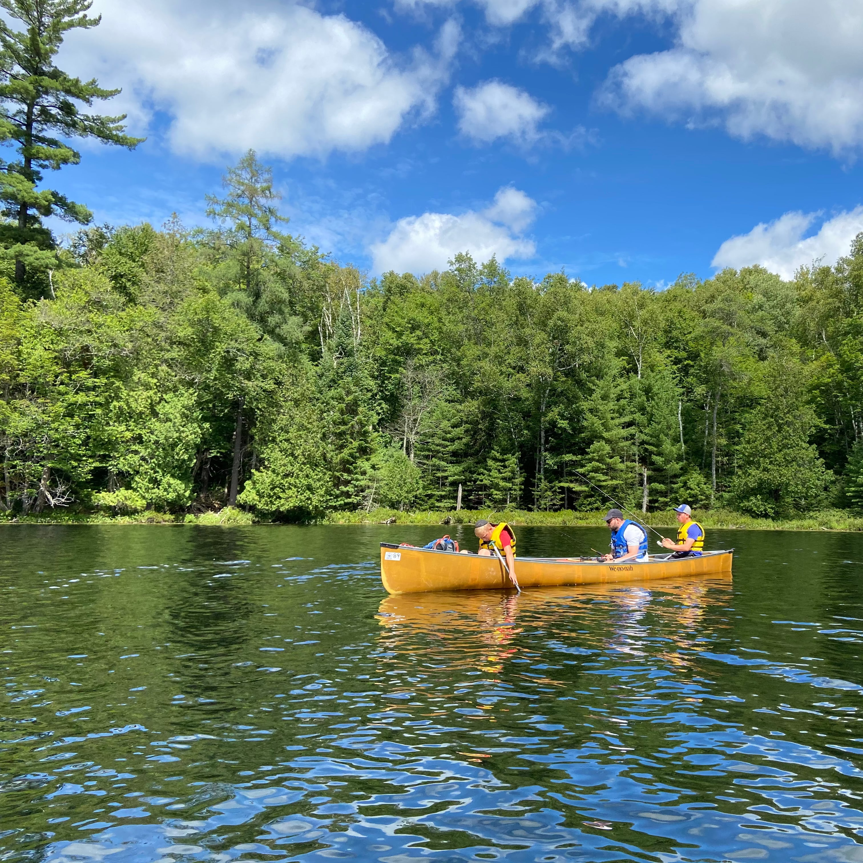 An image depicting two individuals canoeing on a calm lake surrounded by lush greenery and a blue sky