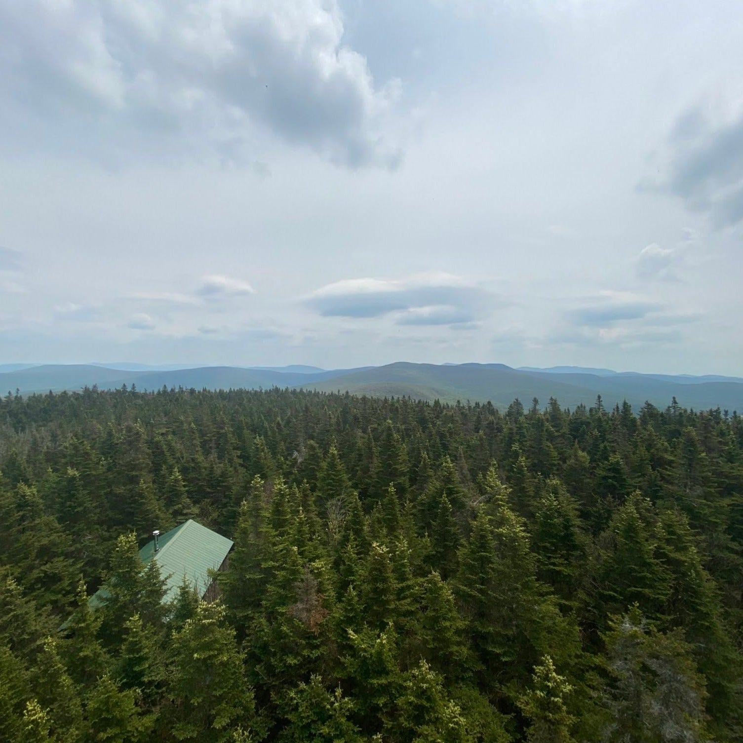 view from balsam lake mountain fire tower in summer in the catskills