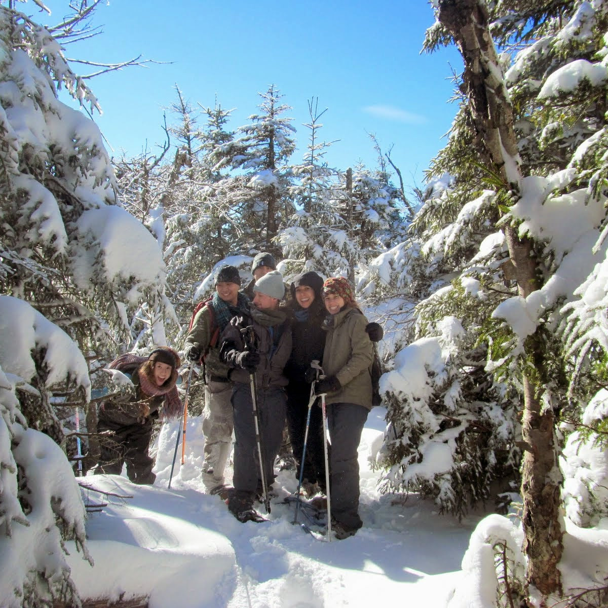 Winter Wonderland Walk - Learn to Snowshoe in the Catskills (2/22)