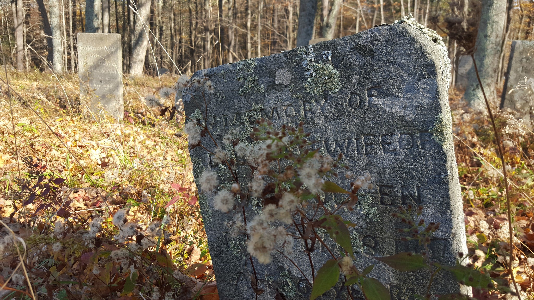 A Haunted Hippy Halloween--Quite the Extraordinary Adventure!