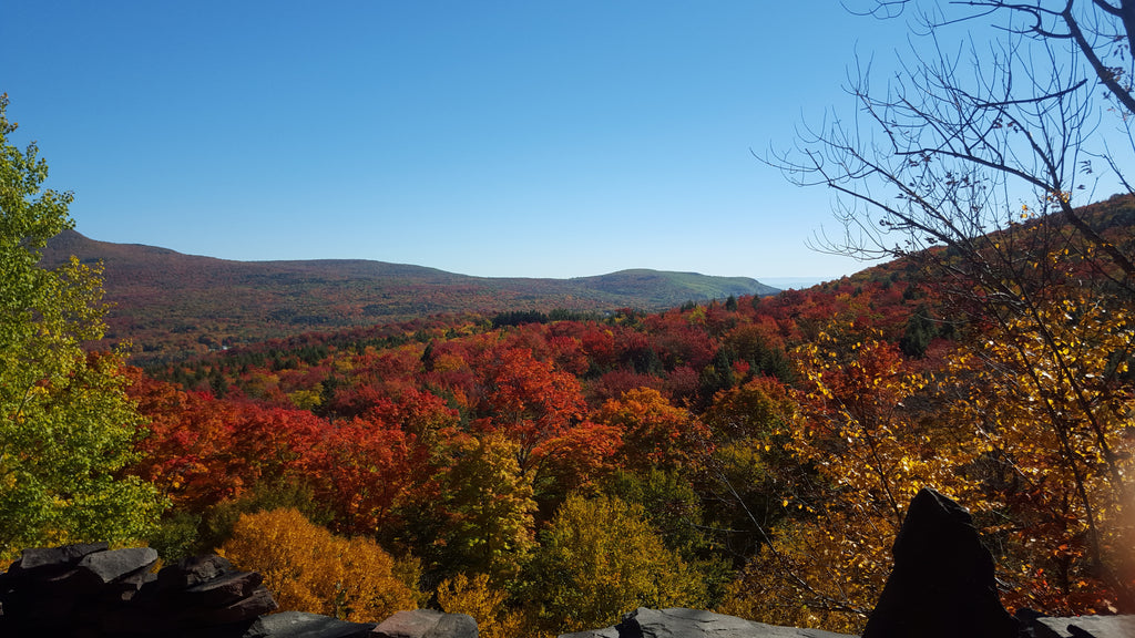 Our Favorite Fall Hikes in the Catskills