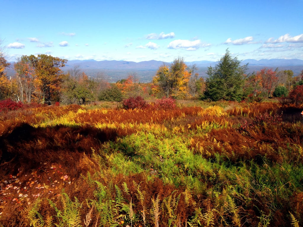 Hike & Harvest—Autumn in Upstate New York