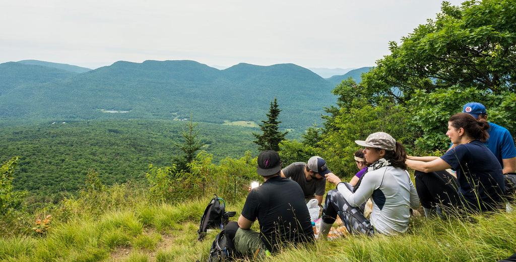 a group of hikers looks out over the viewpoint on Balsam Mountain