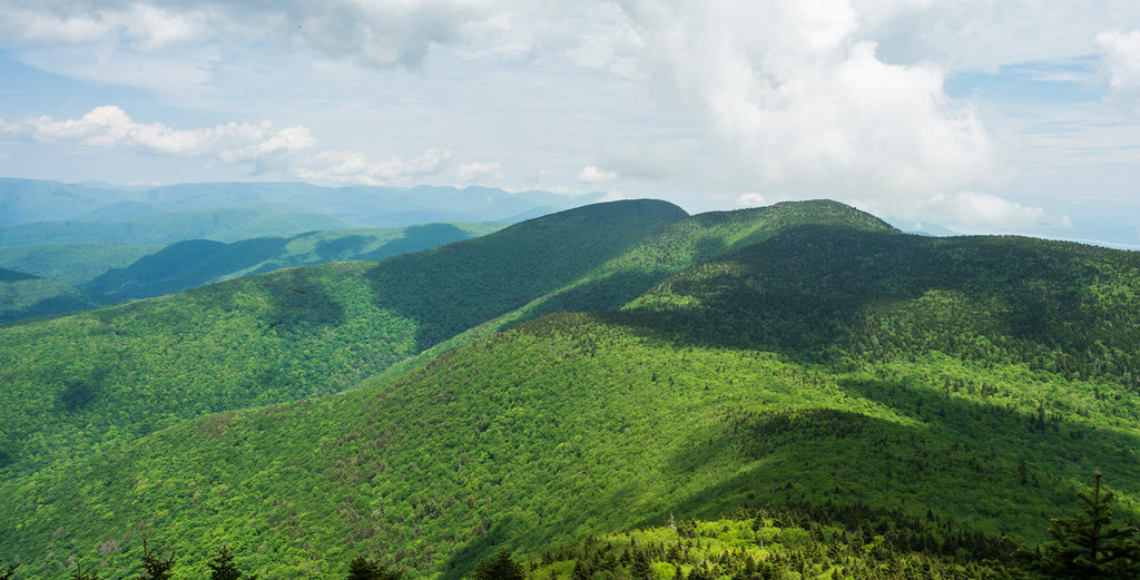 a view of several Catskill mountains in peak green during the summer