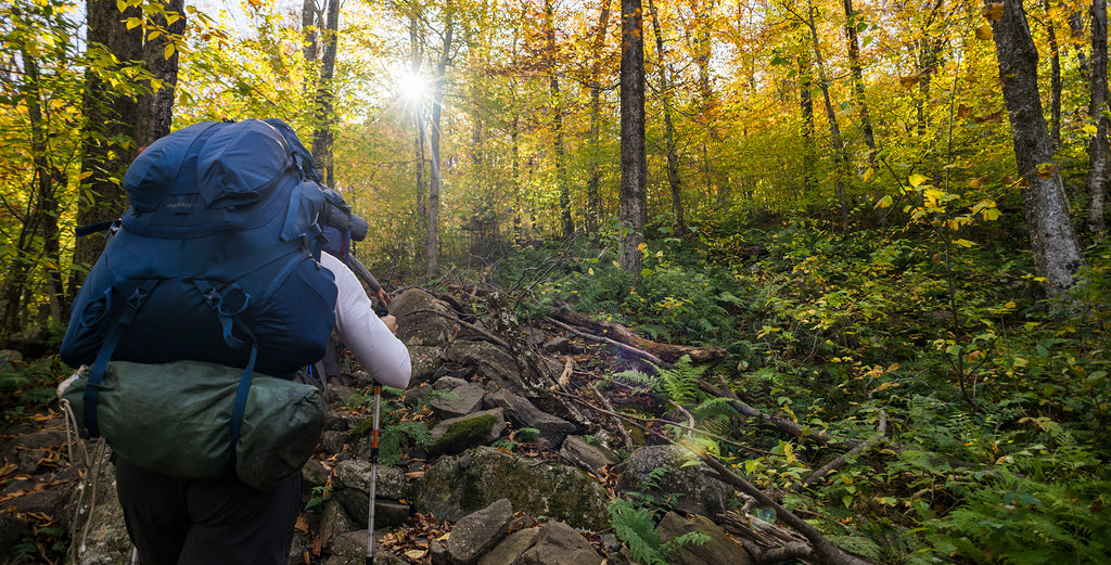 a backpacker with an overnight pack looks out over a forest trail with sunlight filtering in