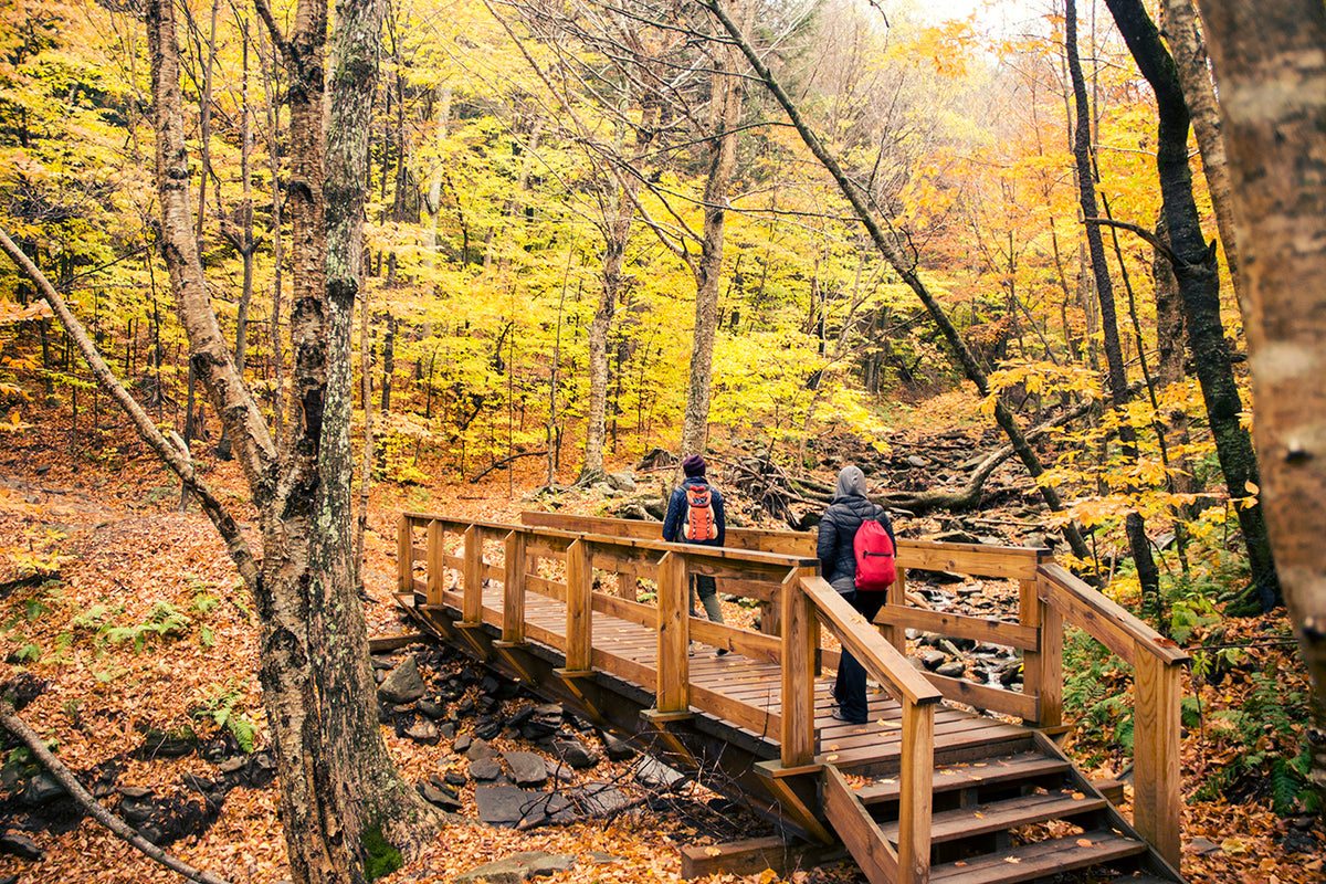 2026 LinkedIn Fall Adventure Day in the Catskills -- Blackhead Range!