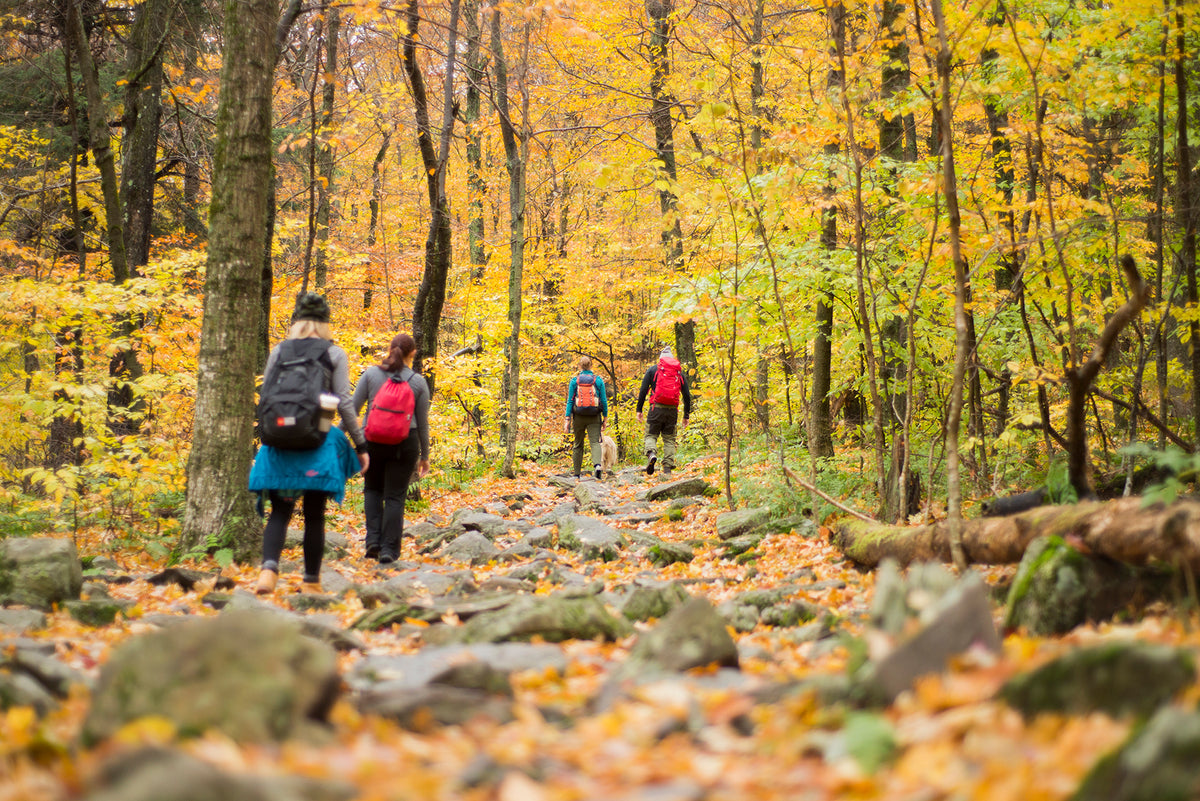 2026 LinkedIn Fall Adventure Day in the Catskills -- Blackhead Range!