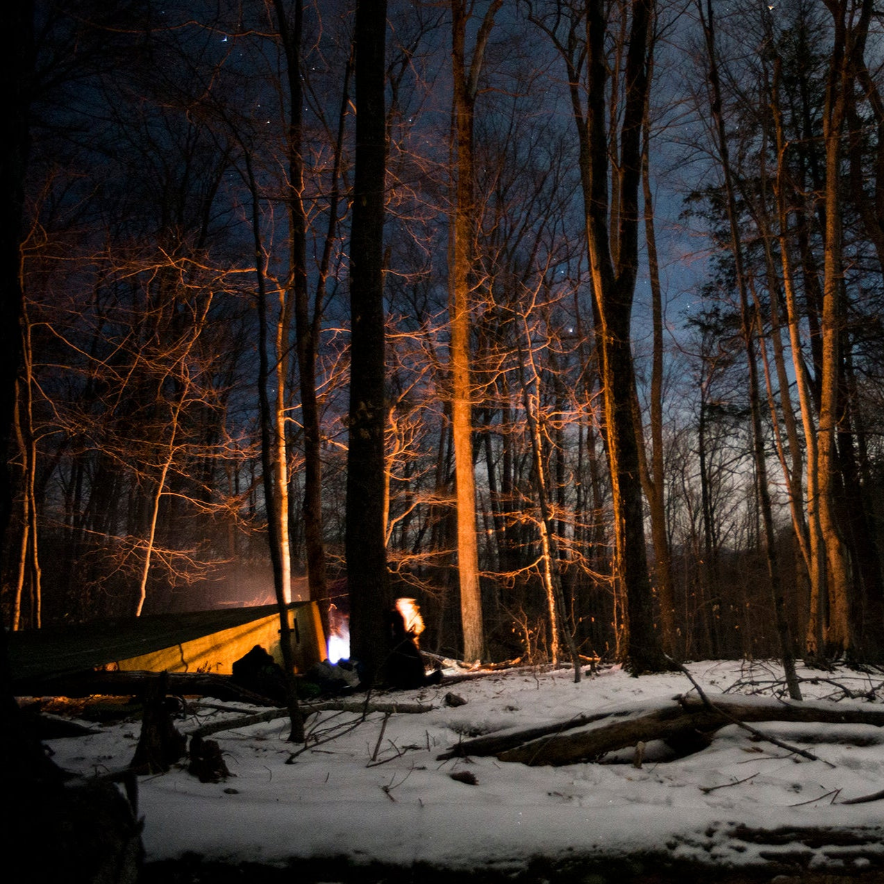 a campsite in a snowy forest illuminated by a campfire with a starry sky in the background