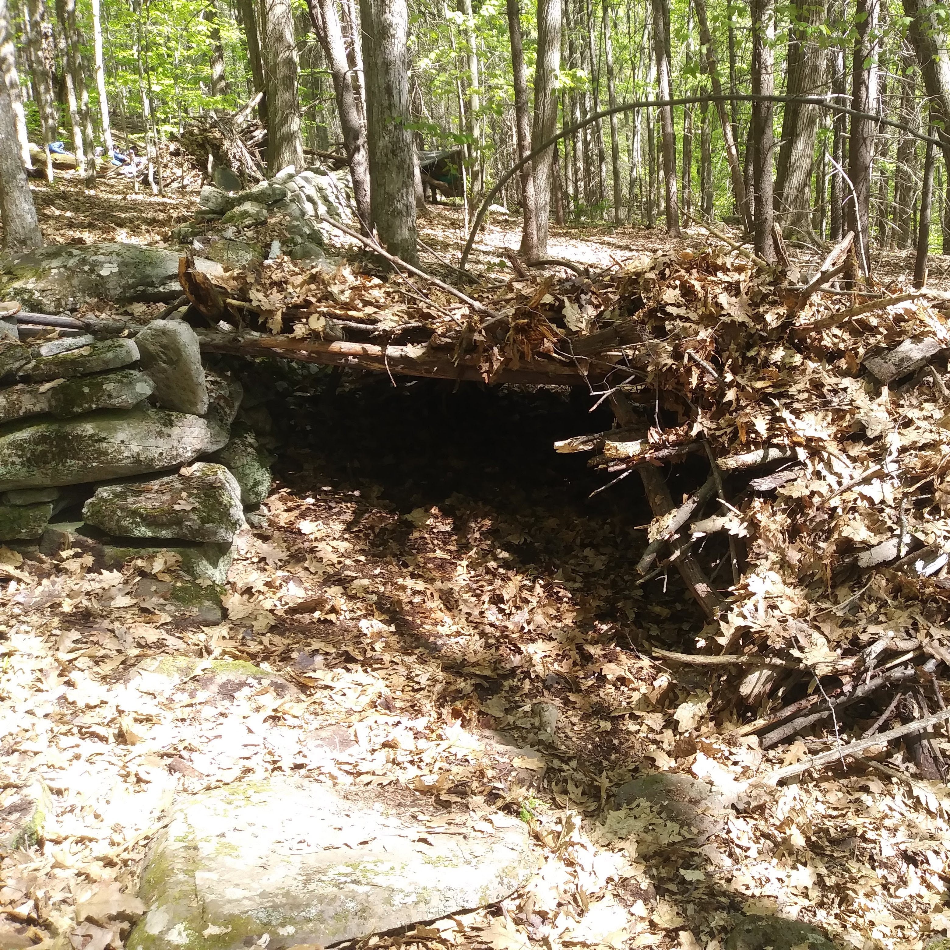 Custom Survival School (3 hour)