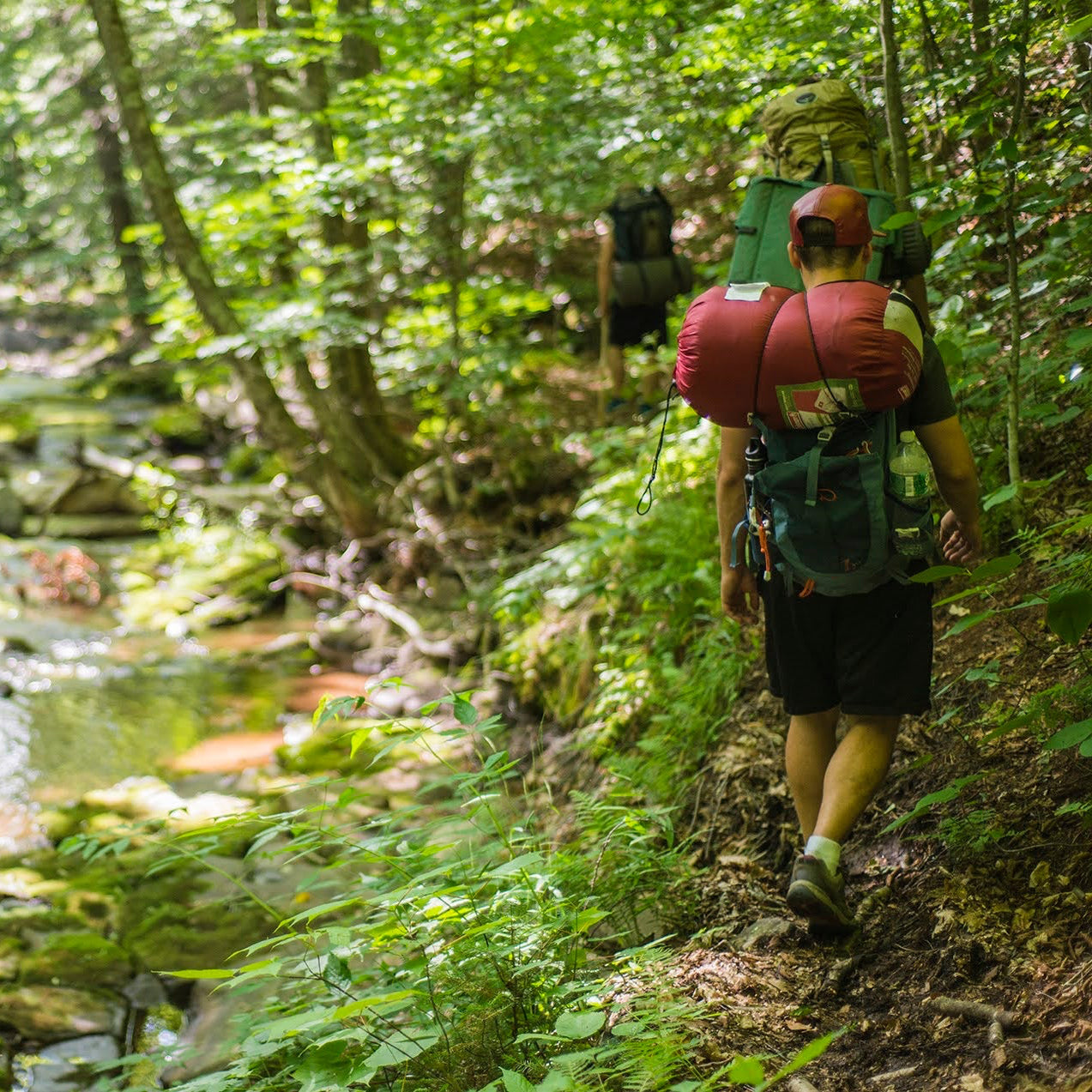 Person hiking through a lush forest with a stream in the background