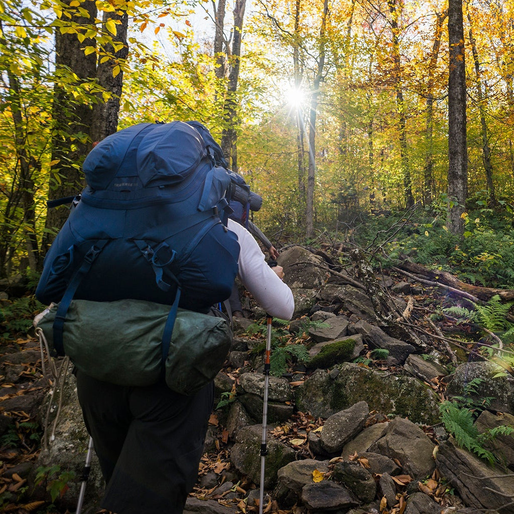 a backpacker looking up at the sun through trees in fall foliage