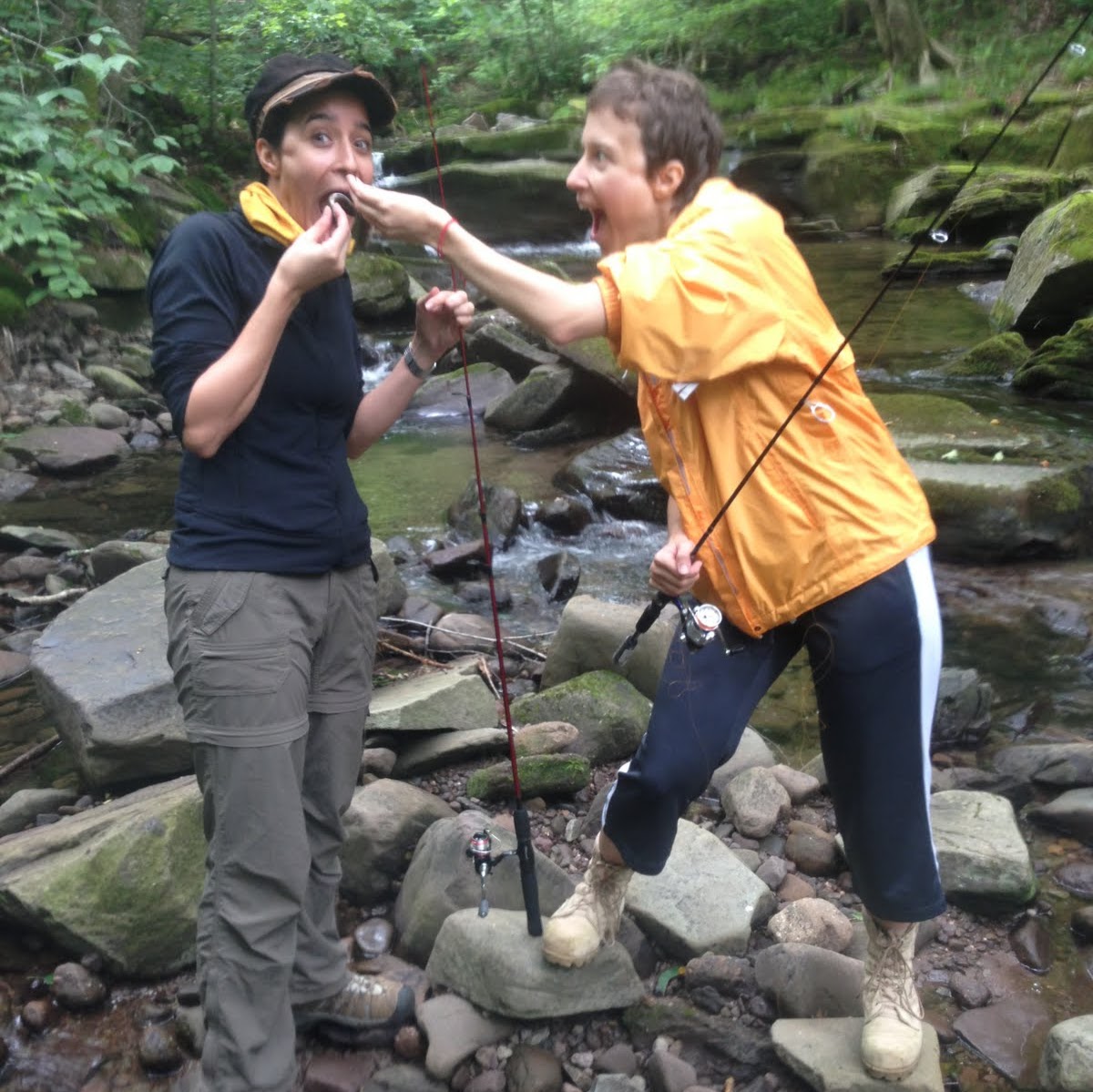 Custom Brook Trout Fishing with Instruction & Gear (3hr)