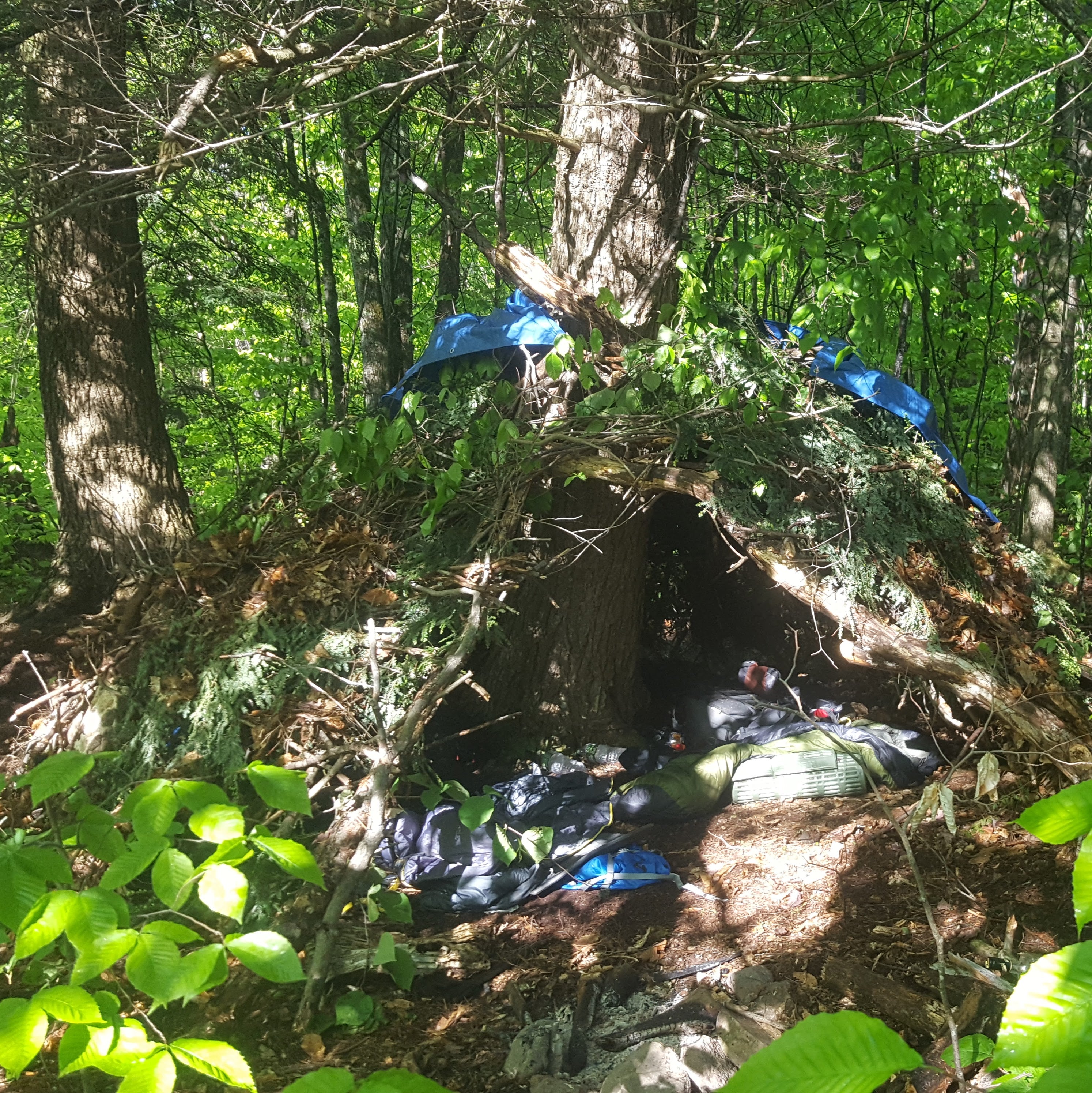 Custom Survival School (3 hour)