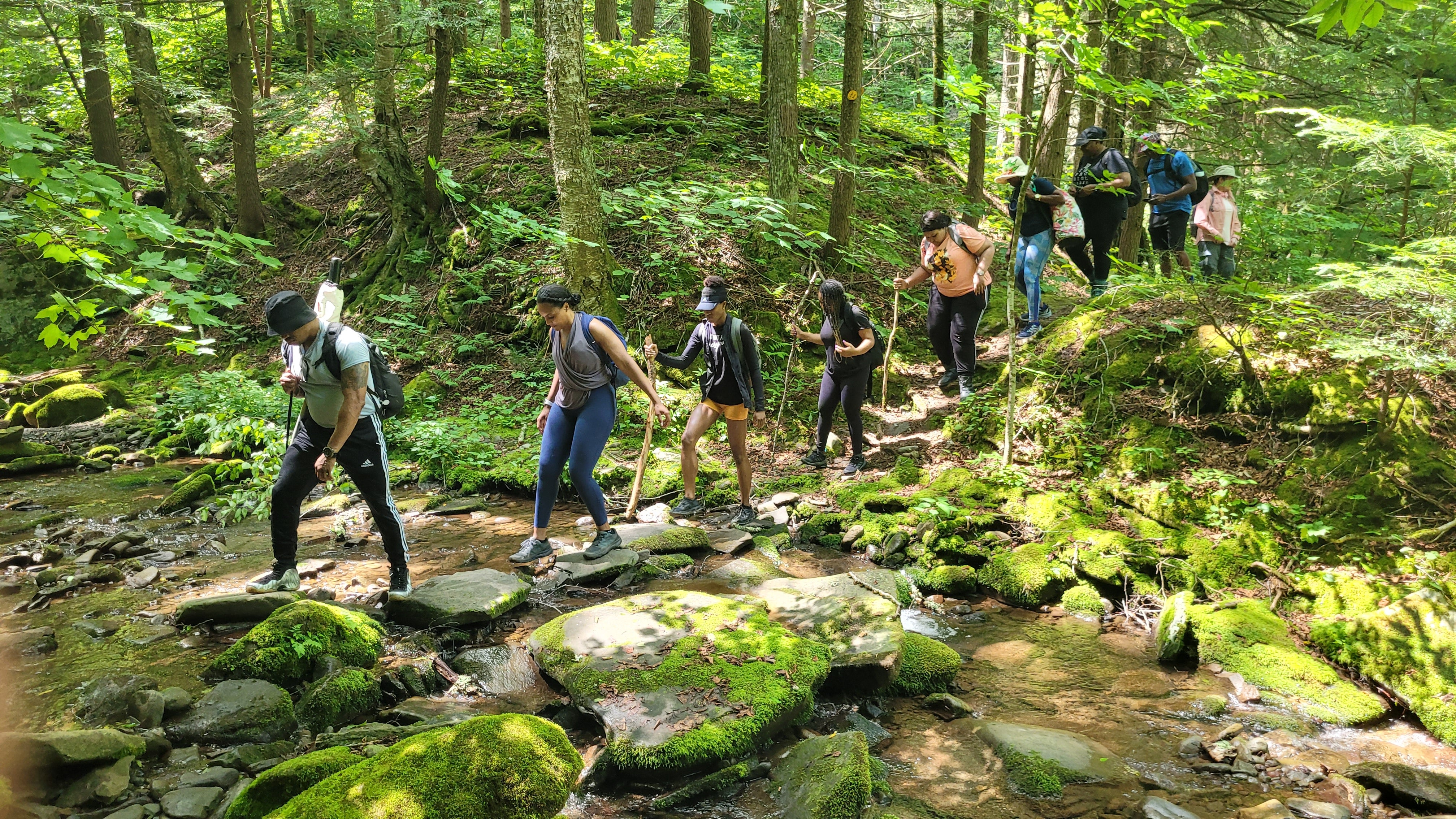 Urban Reset - Immersive Meditation and Waterfall Walk with Herb (5/4)