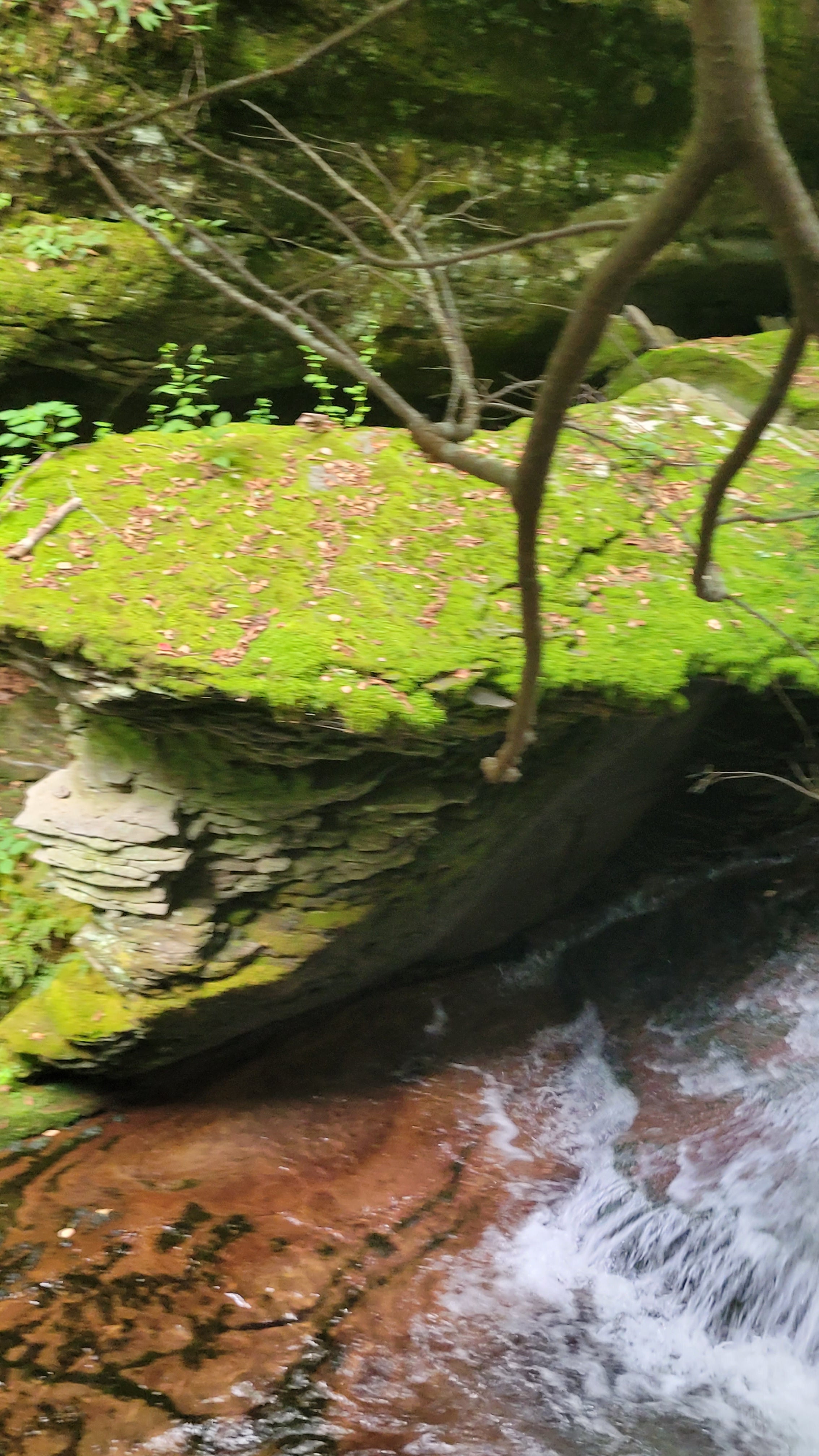 Urban Reset - Immersive Meditation and Waterfall Walk with Herb (5/4)
