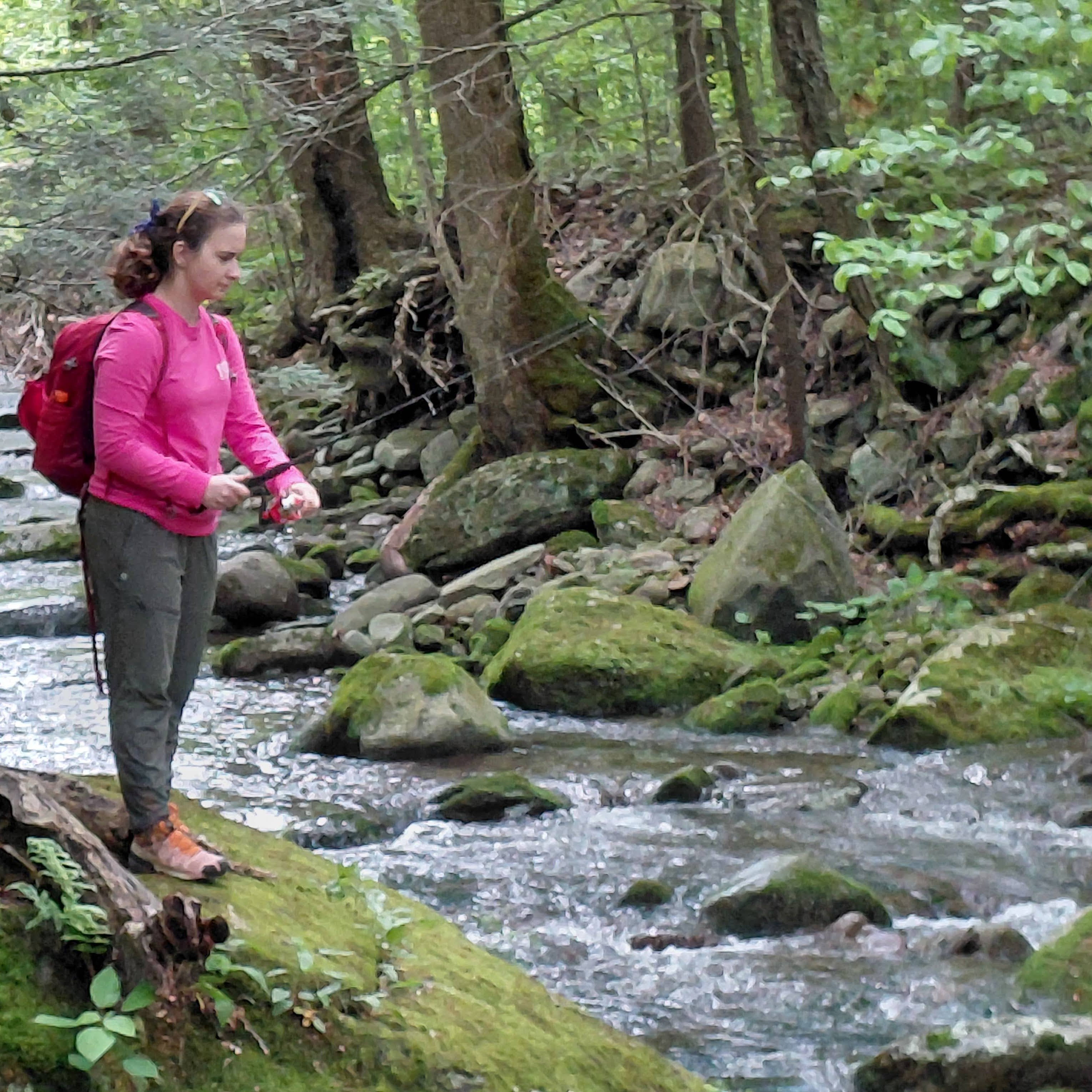 Custom Brook Trout Fishing with Instruction & Gear (3hr)