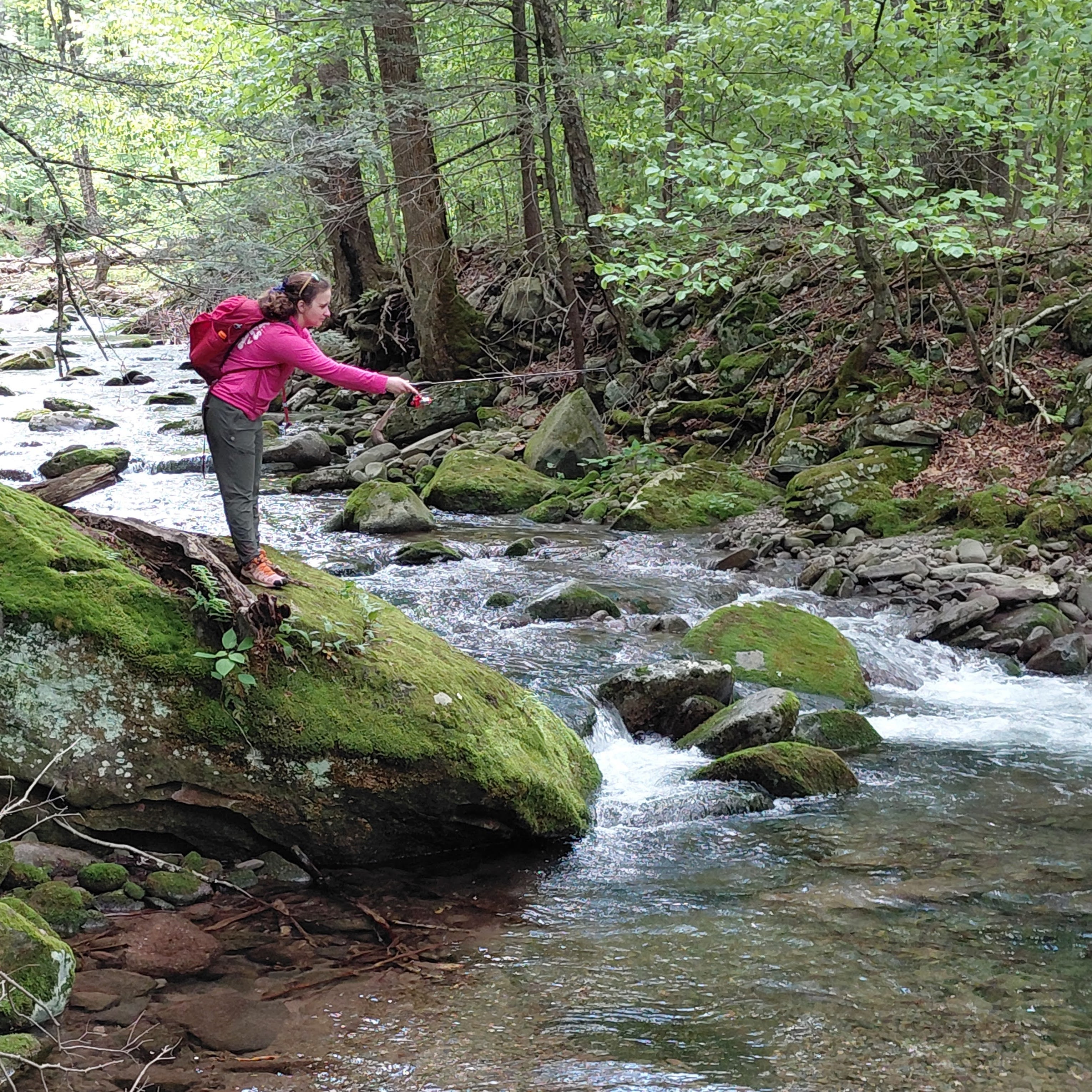 Custom Brook Trout Fishing with Instruction & Gear (3hr)
