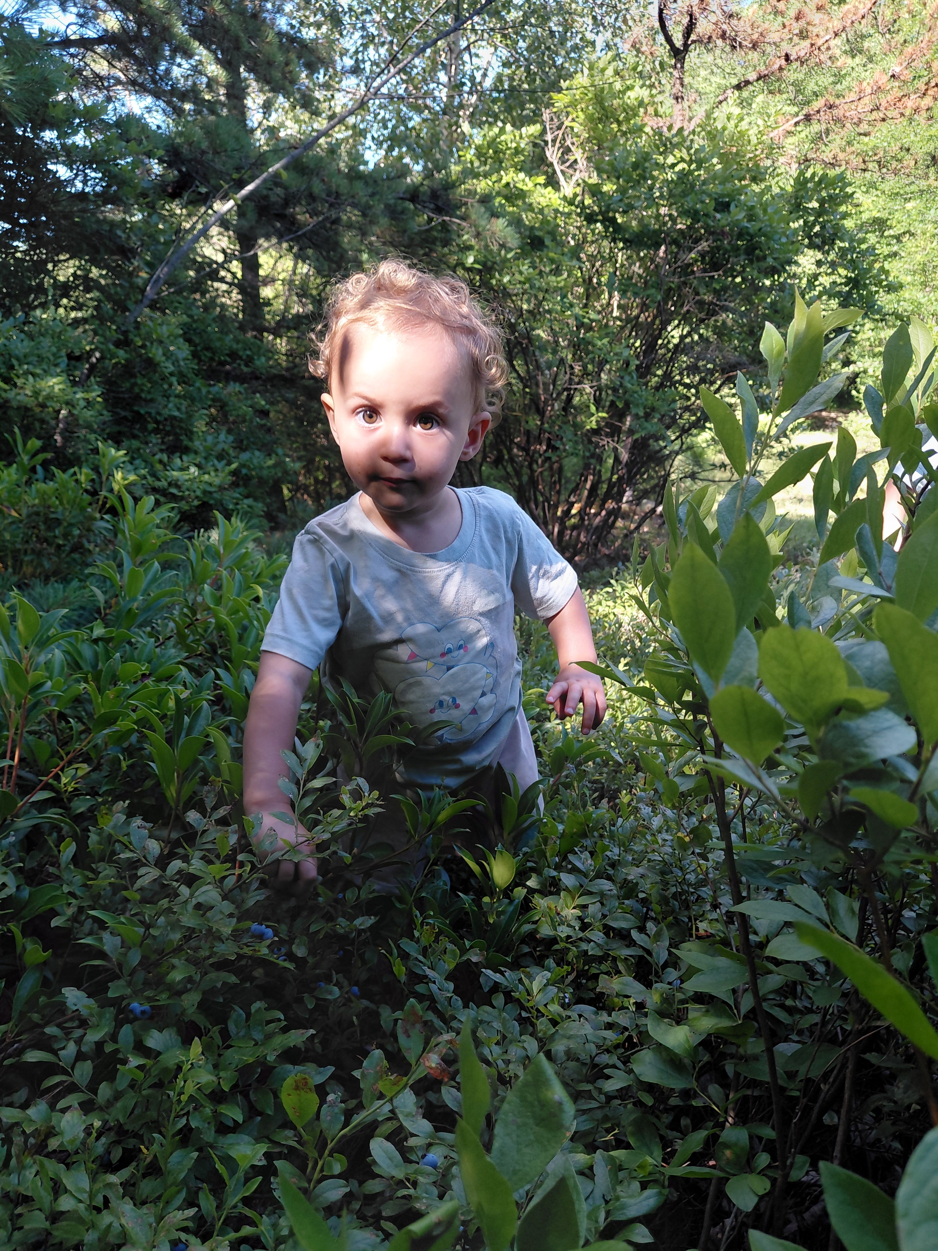 Little Explorers — Berries, Waterfalls &  Wild Things (7/12)