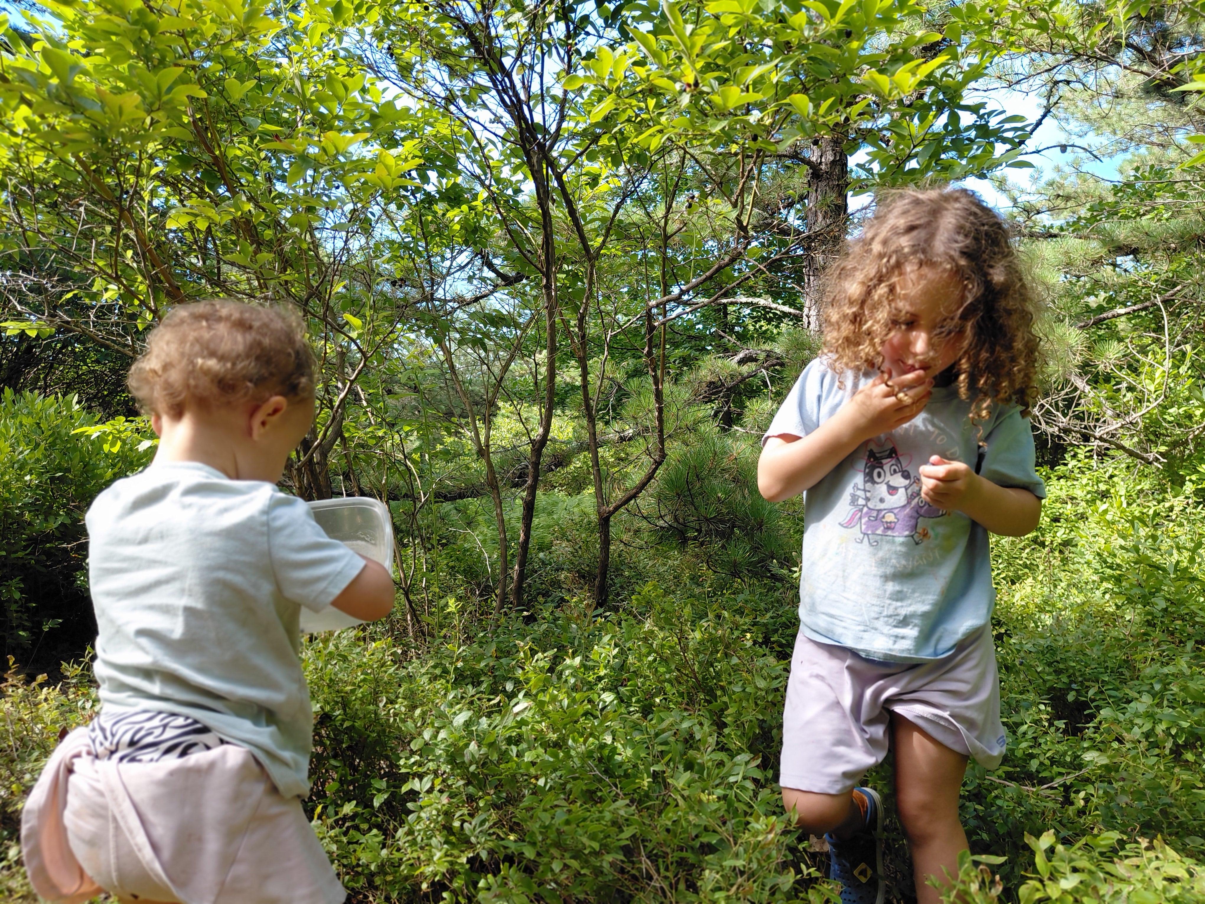Little Explorers — Berries, Waterfalls &  Wild Things (7/12)