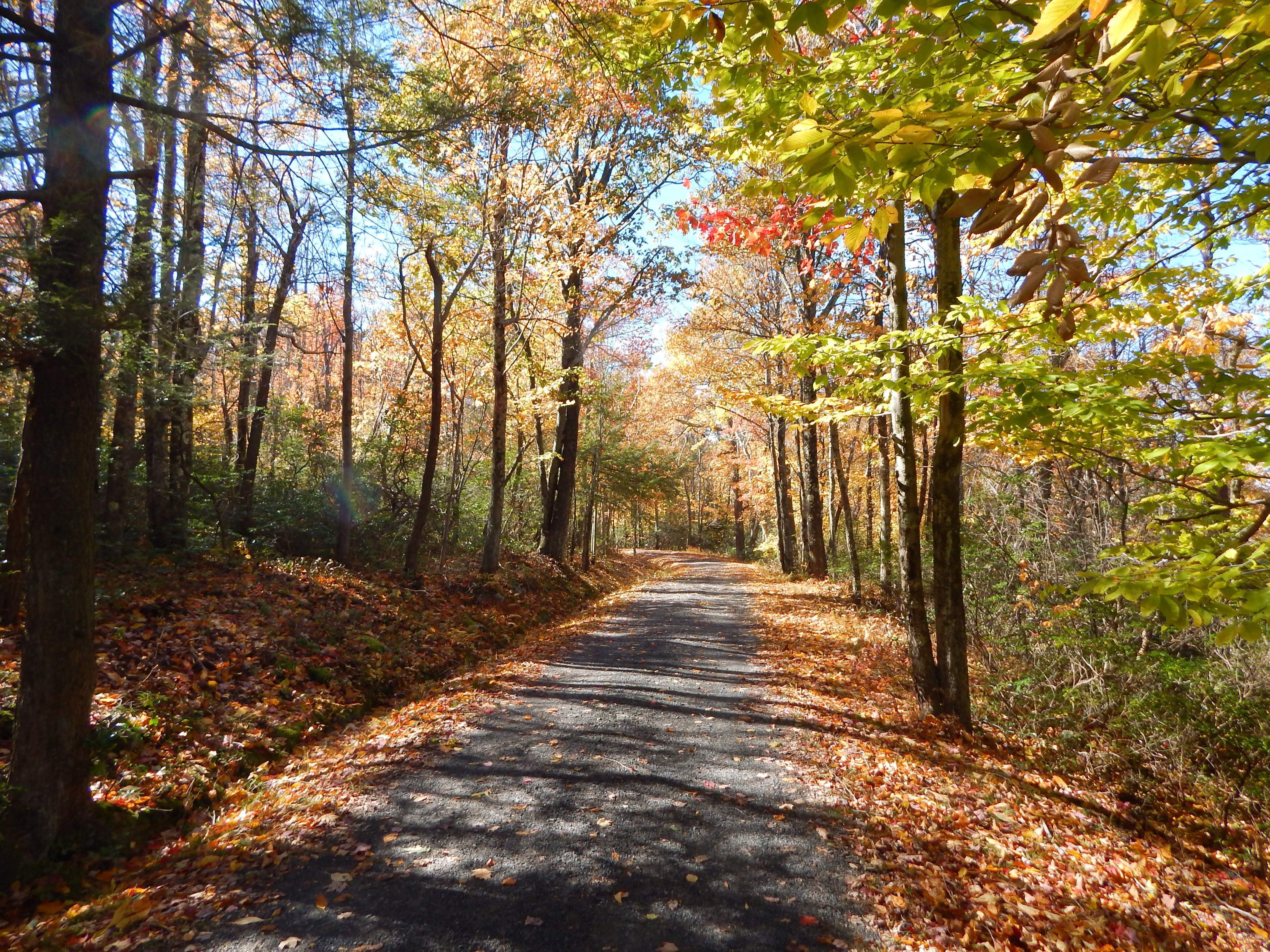 LinkedIn Fall Adventure Day in the Catskills 2024!