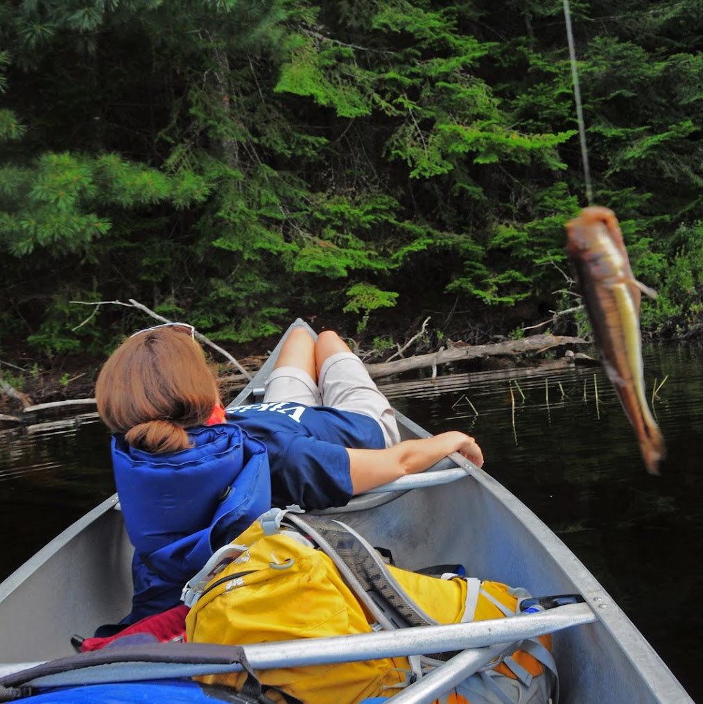 Person in a canoe with a freshly caught fish, surrounded by trees