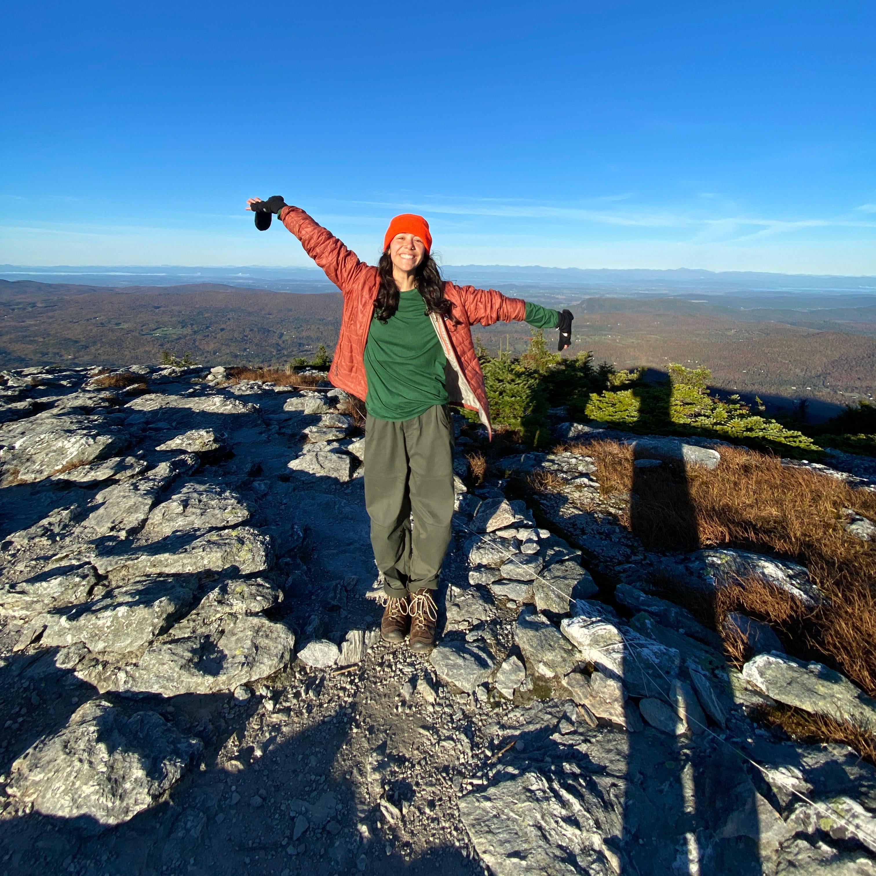 Person standing on a rocky outcrop with arms raised, overlooking a vast landscape under a clear blue sky