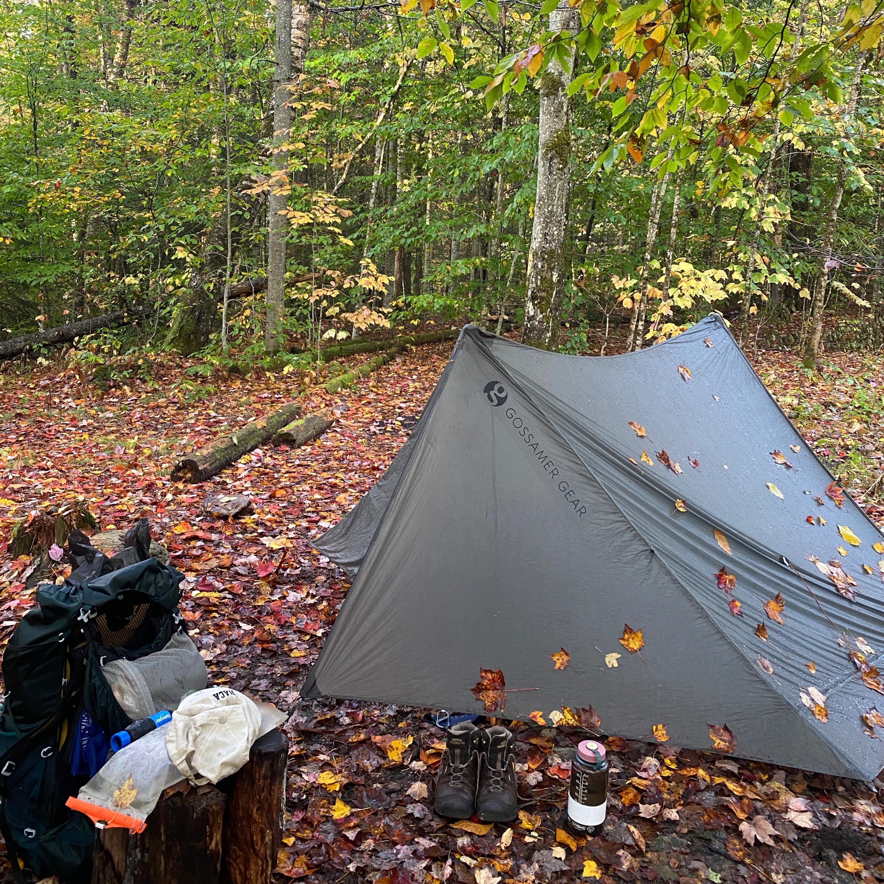 Gray tent set up in a forest with fallen leaves on the ground