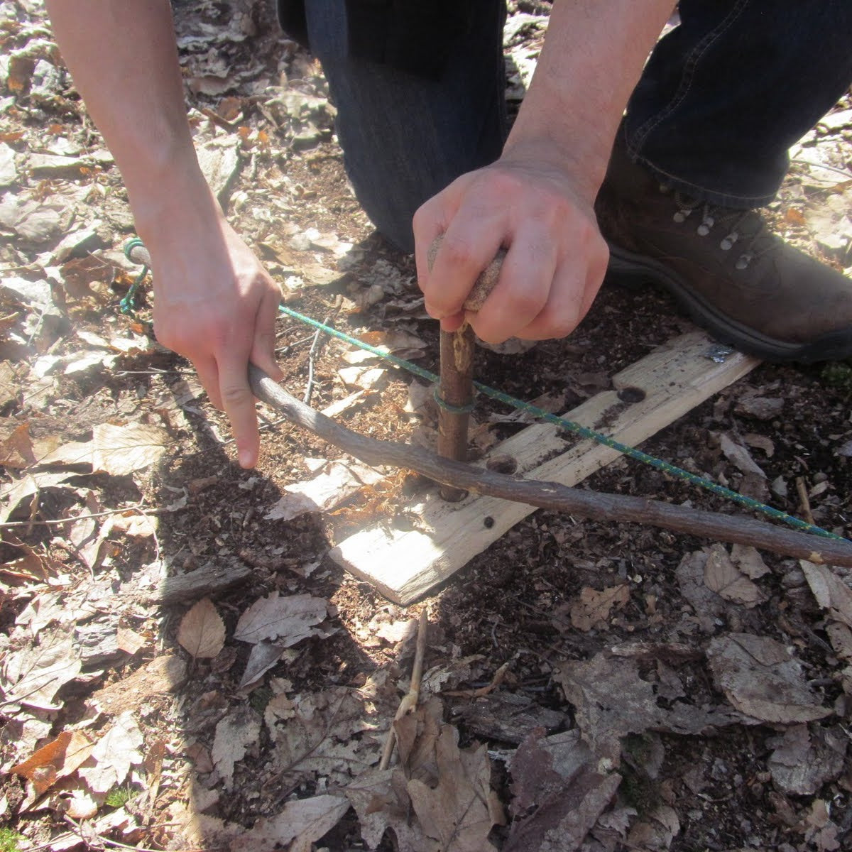 Custom Survival School (3 hour)