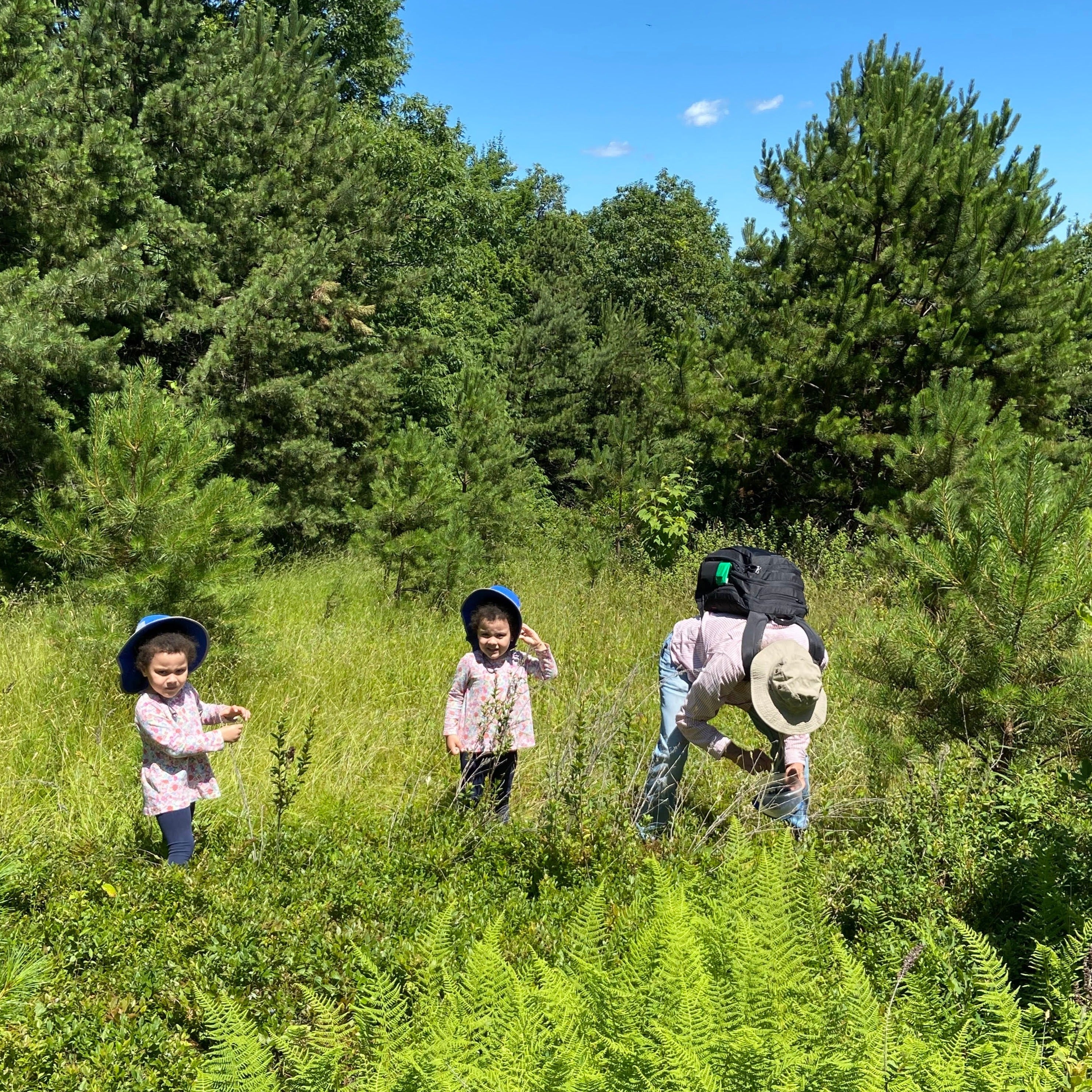 two little girls in matching outfits and an adult pick blueberries in a field with ferns and trees in the background 