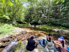 Urban Reset - Immersive Meditation and Waterfall Walk with Herb (5/4)