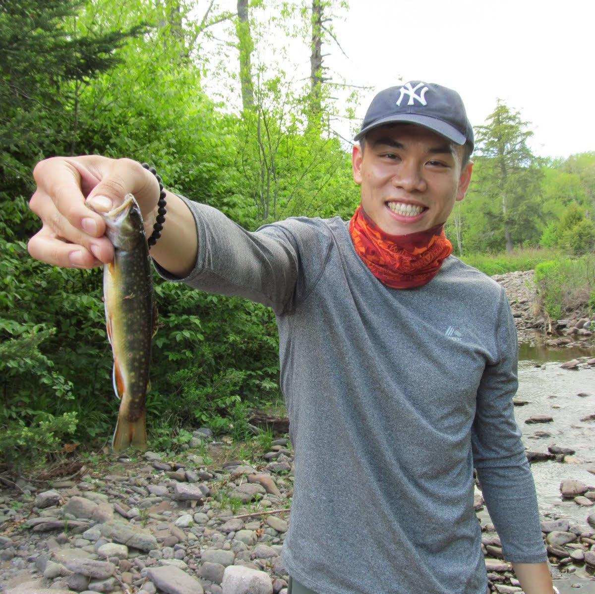 Custom Brook Trout Fishing with Instruction & Gear (3hr)