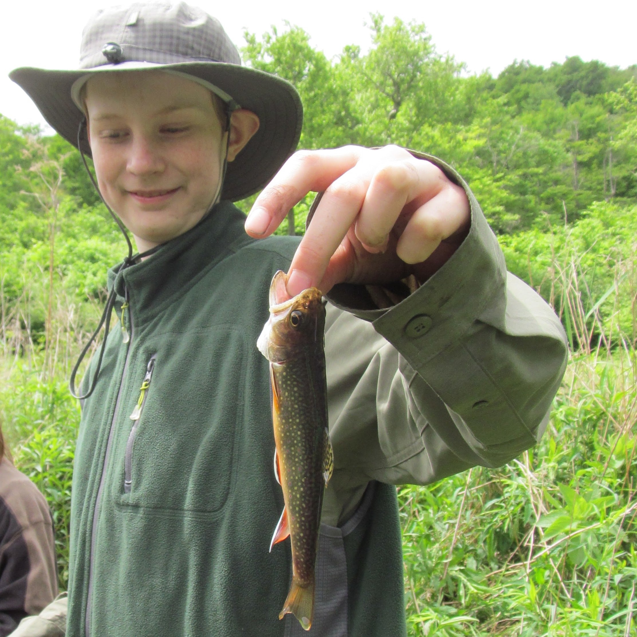 Custom Brook Trout Fishing with Instruction & Gear (3hr)