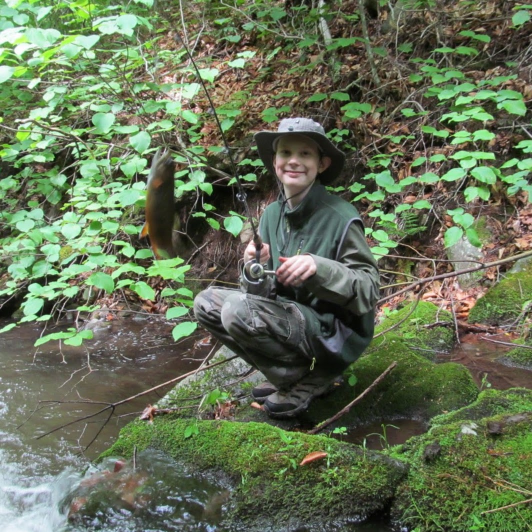 Custom Brook Trout Fishing with Instruction & Gear (6hr)