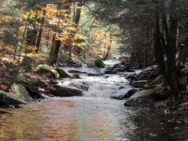 2026 LinkedIn Fall Adventure Day in the Catskills -- Blackhead Range!