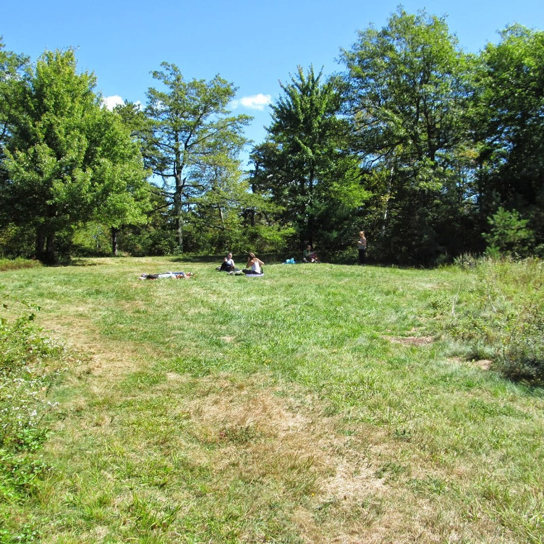 People sitting on a grassy field with trees in the background