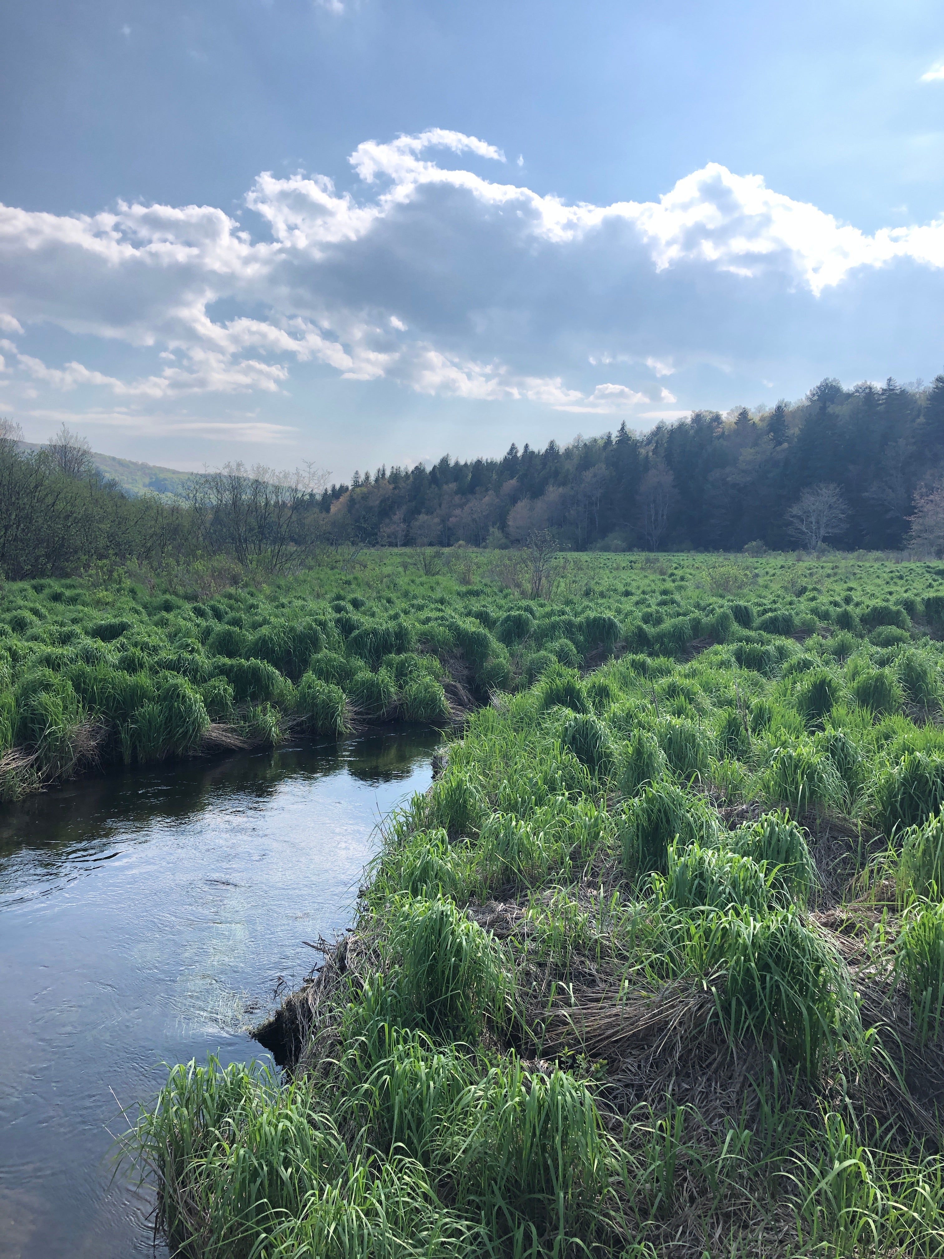 Enchanted Forest Paddle (4/27-28)