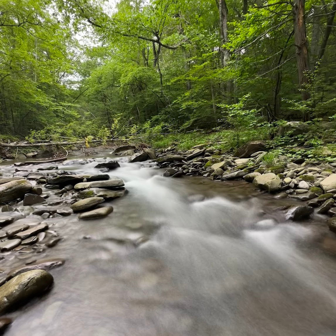 Magical River Hike (5/30)