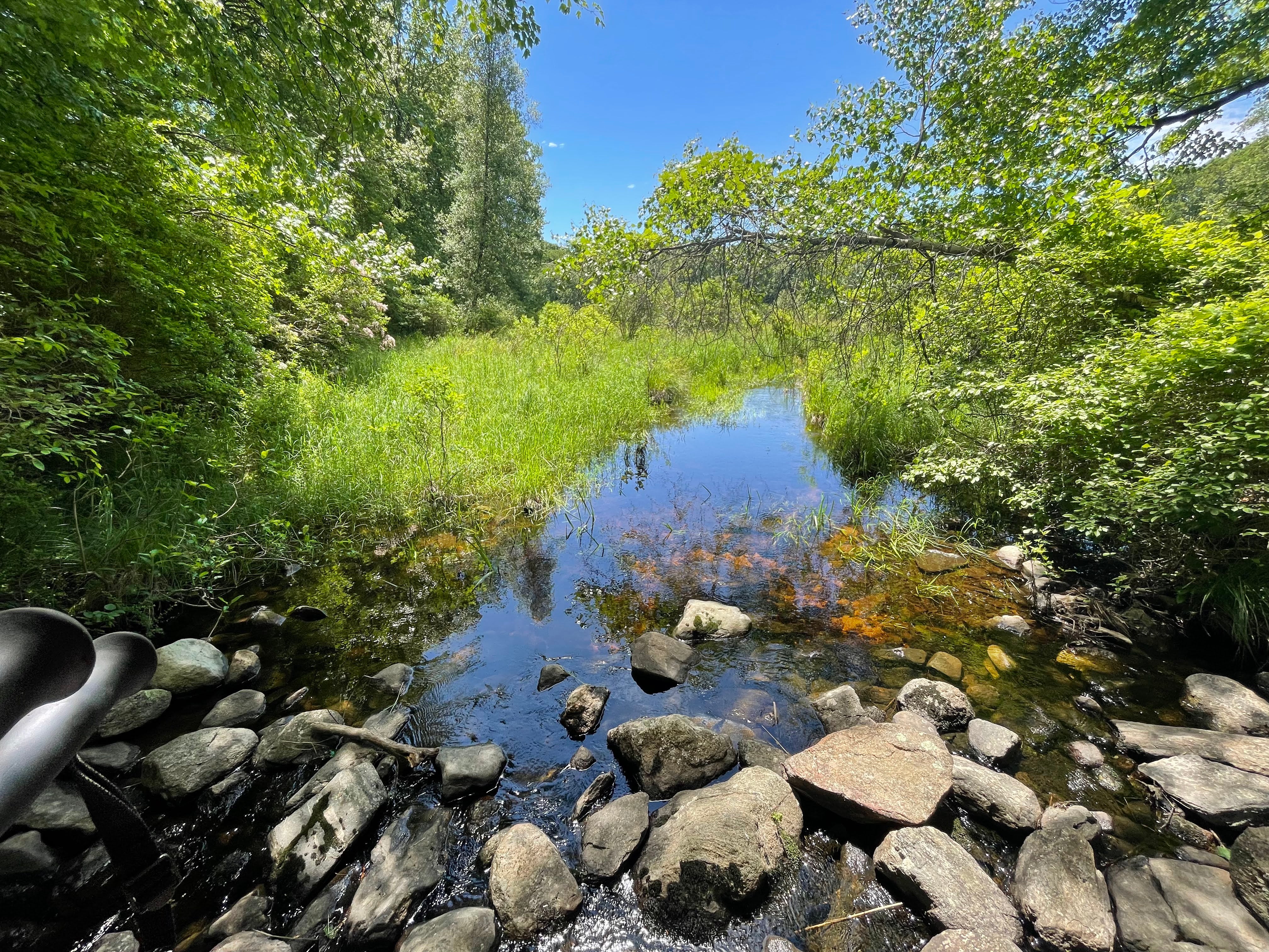 Richemont Spring Adventure Day in the Catskills 2025