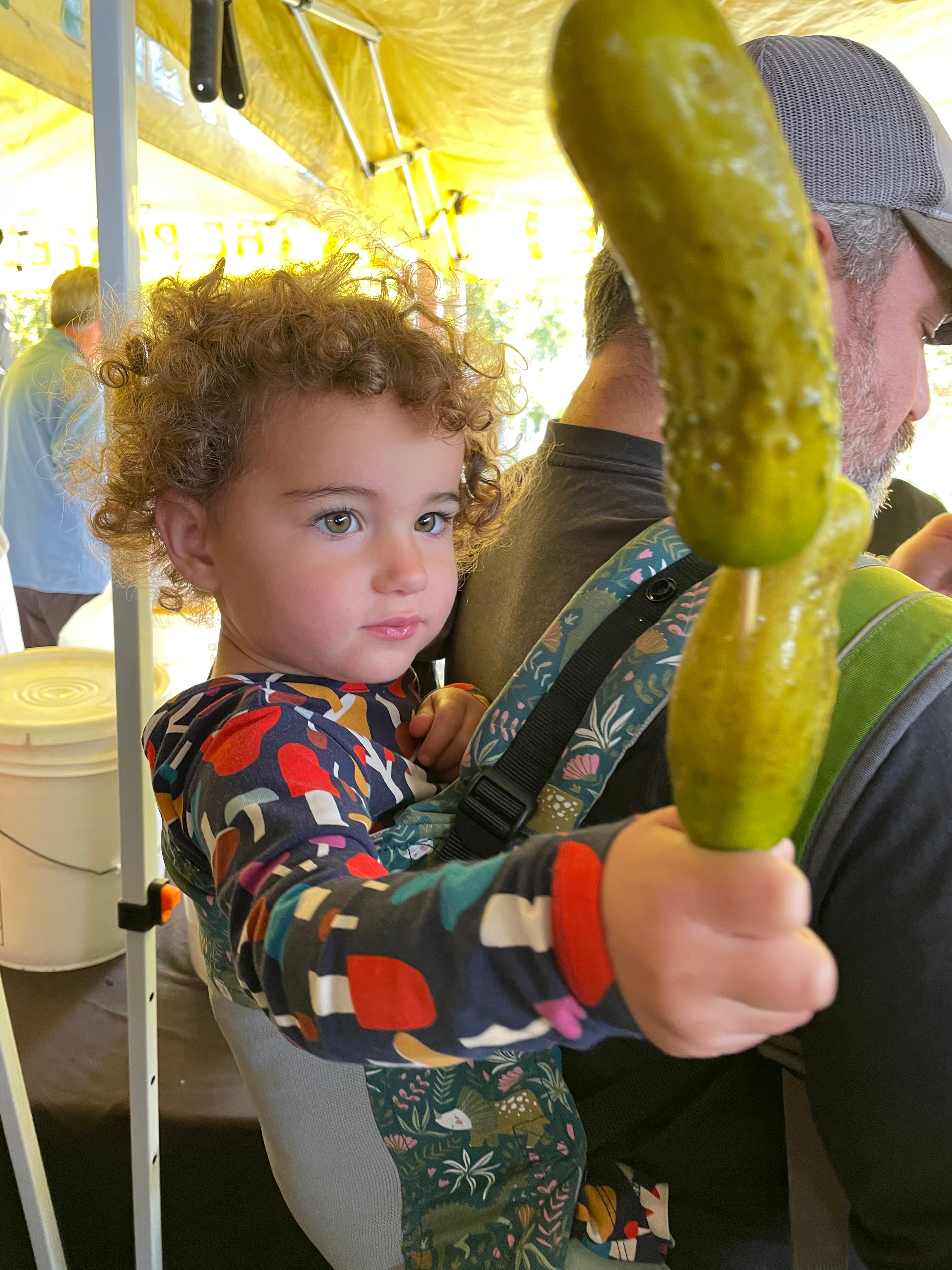 Foliage & Festivals - Pickle Fest! (10/19)