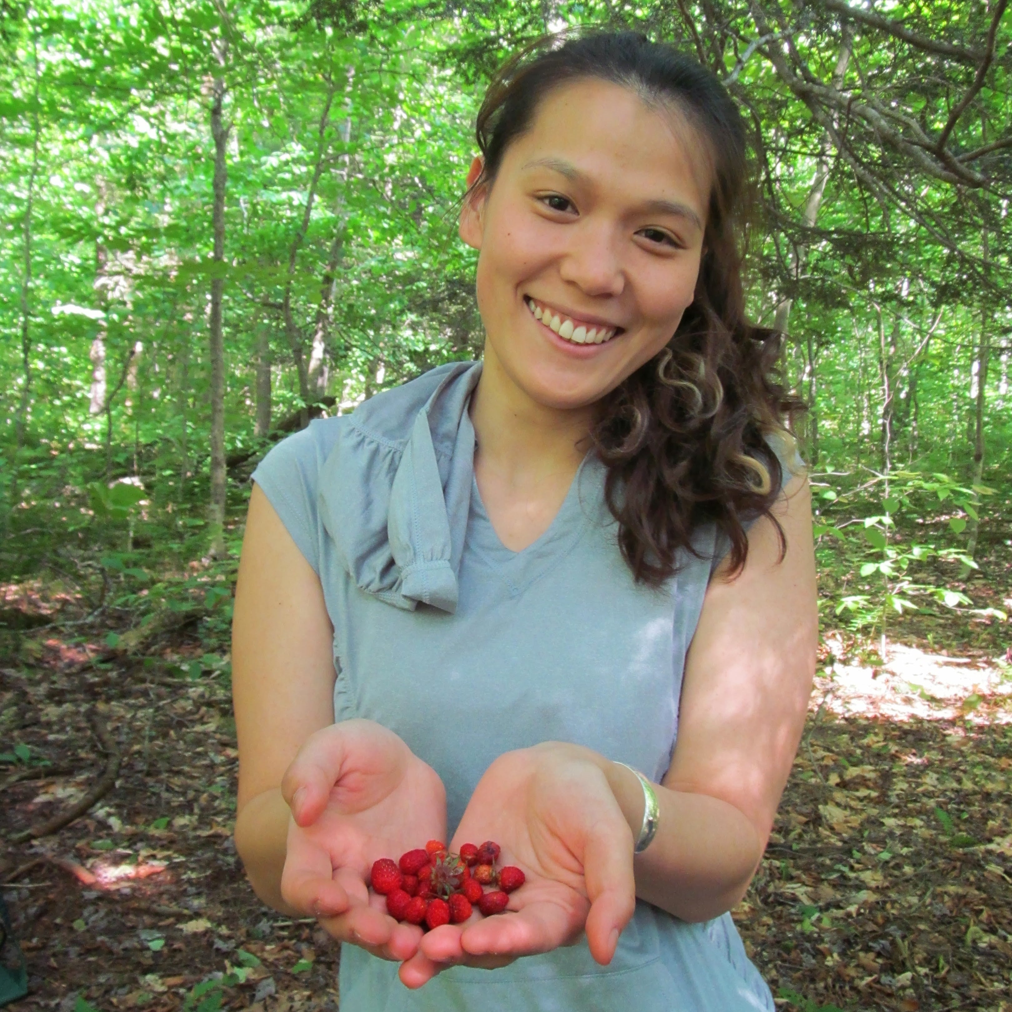 bounty of Catskill wild strawberries