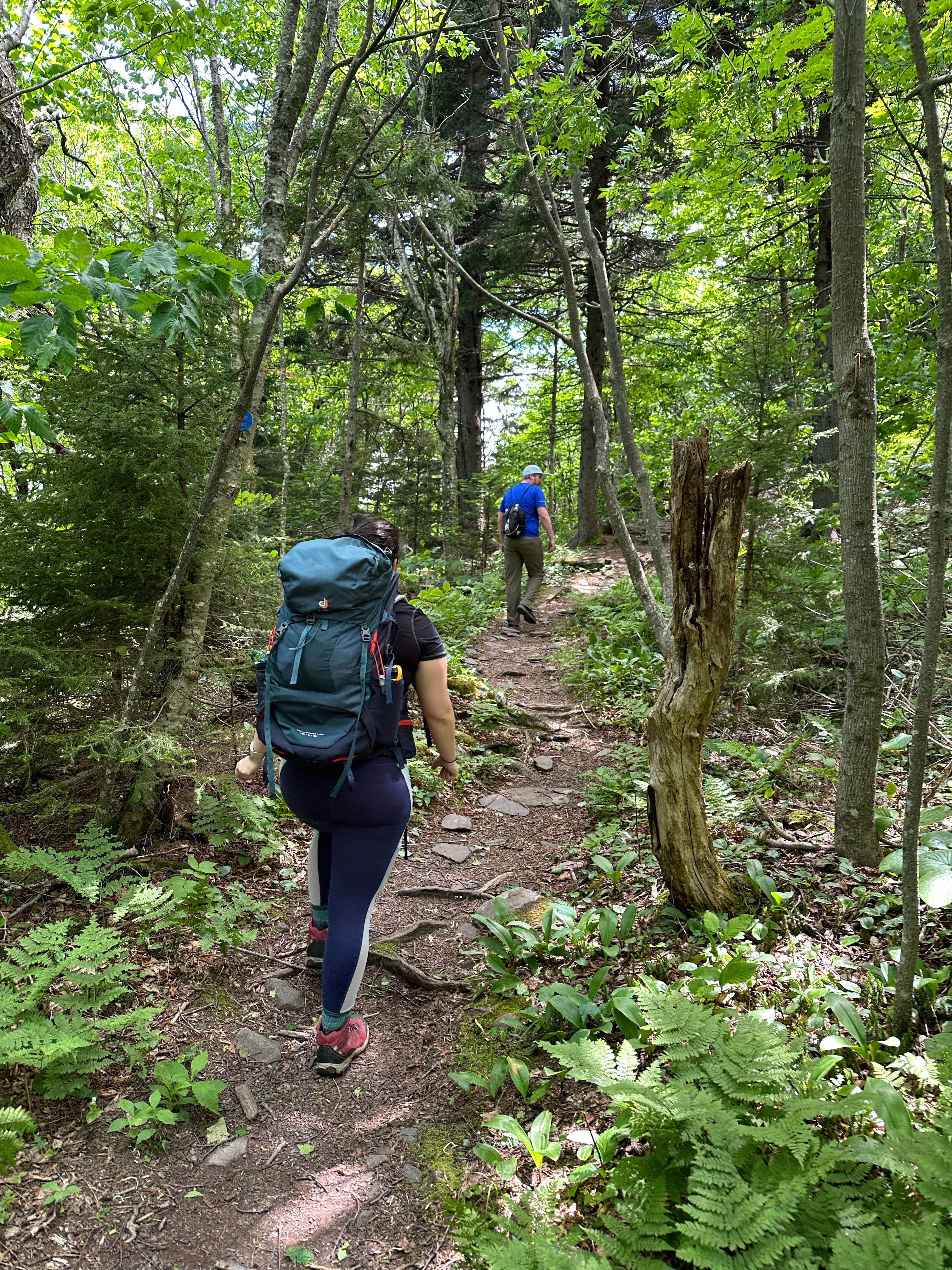 Escarpment Escape Basecamp (6/7-8)