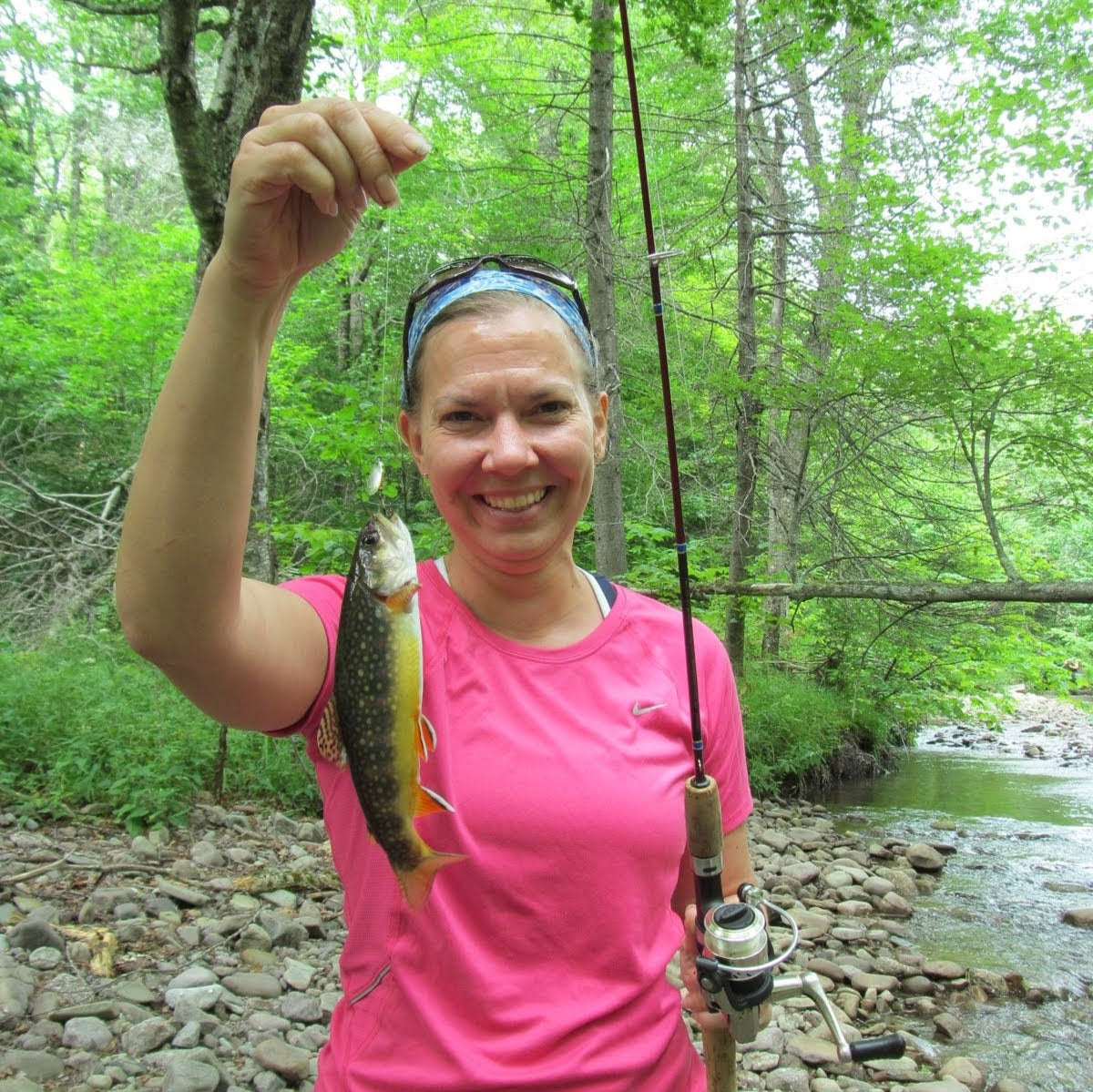 Custom Brook Trout Fishing with Instruction & Gear (6hr)