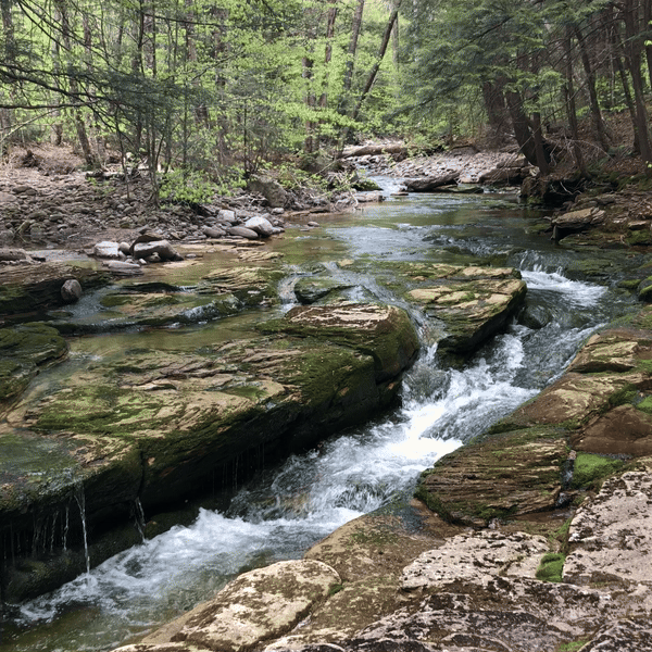 Magical River Hike (6/15)