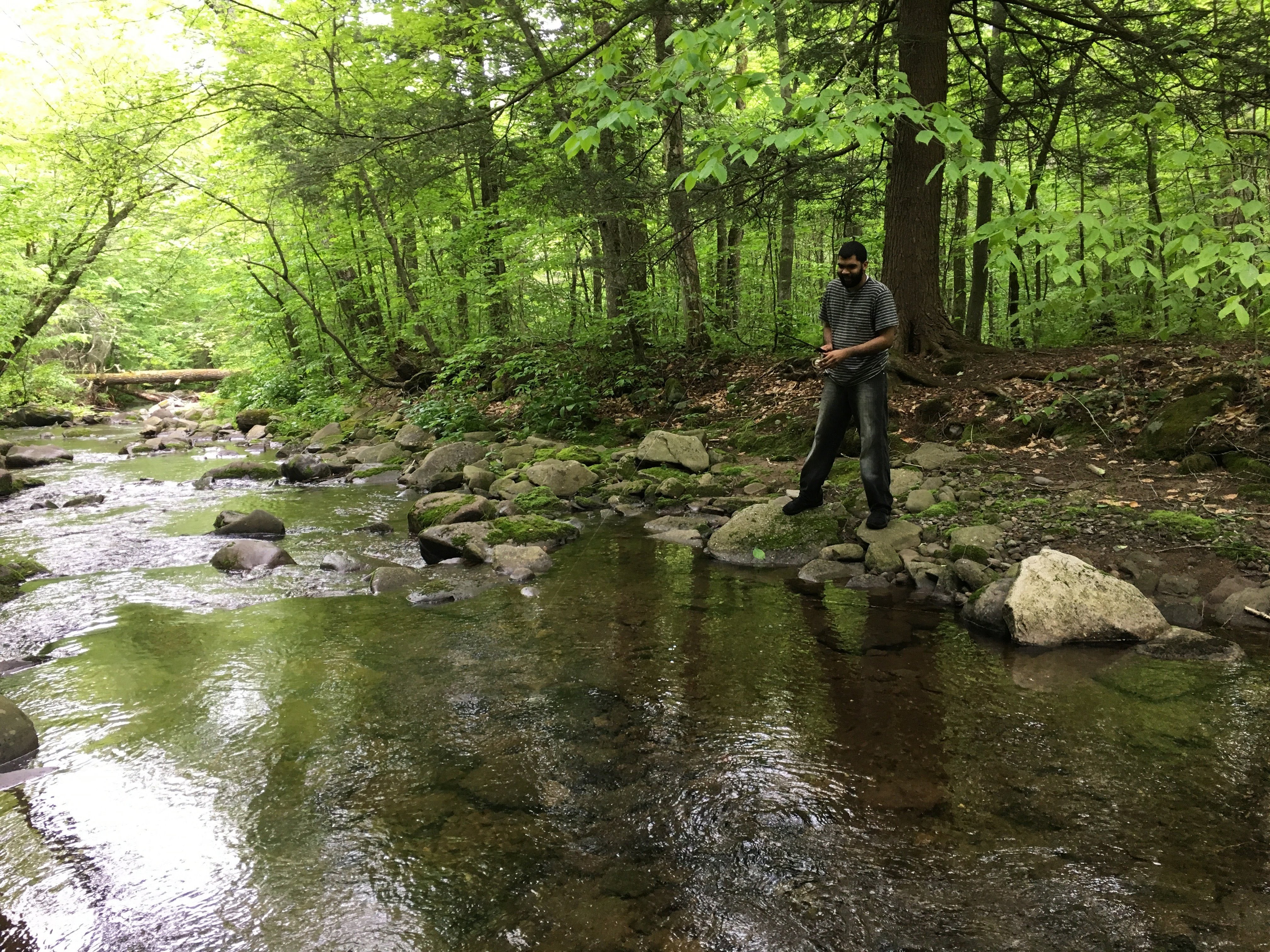 Custom Brook Trout Fishing with Instruction & Gear (6hr)