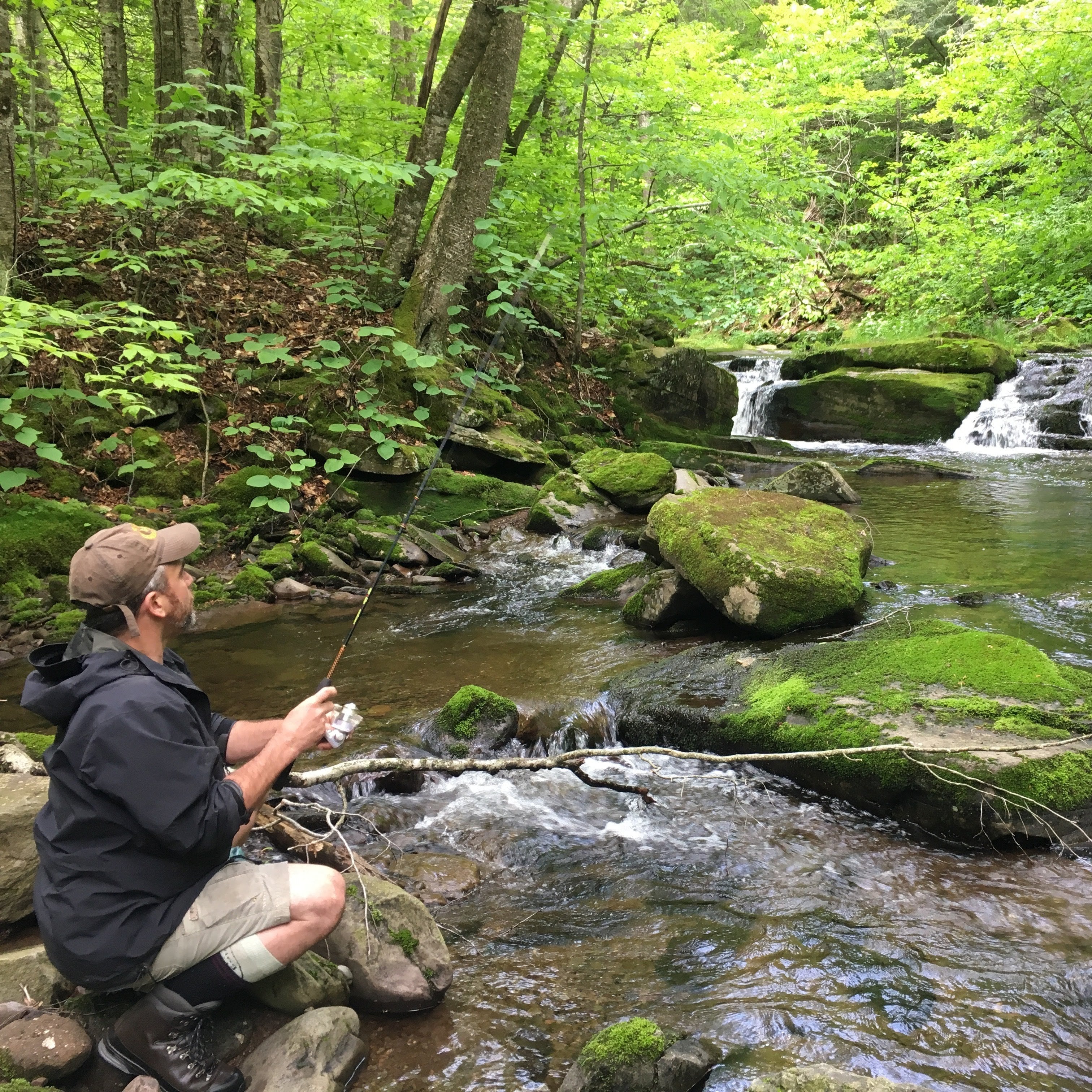 Custom Brook Trout Fishing with Instruction & Gear (3hr)
