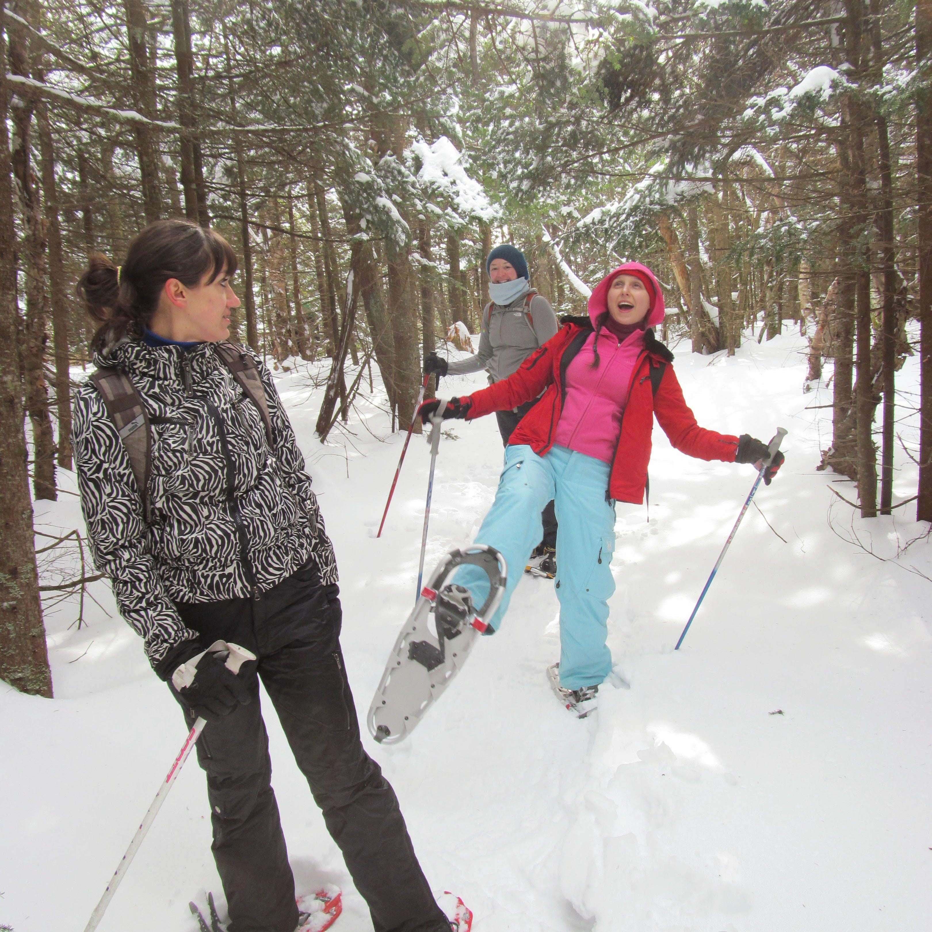 Winter Wonderland Walk - Learn to Snowshoe in the Catskills (2/22)