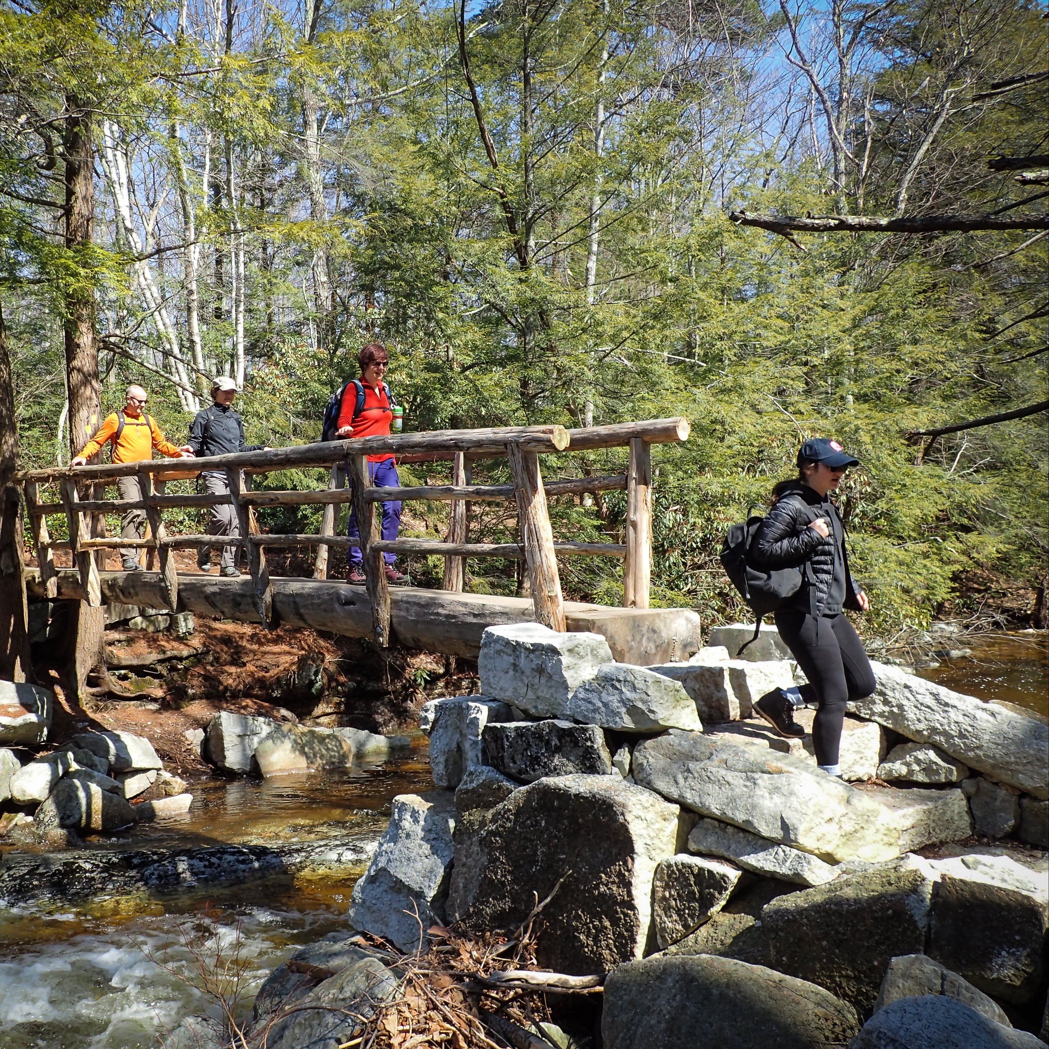 People hiking on a wooden bridge over a stream in a forest