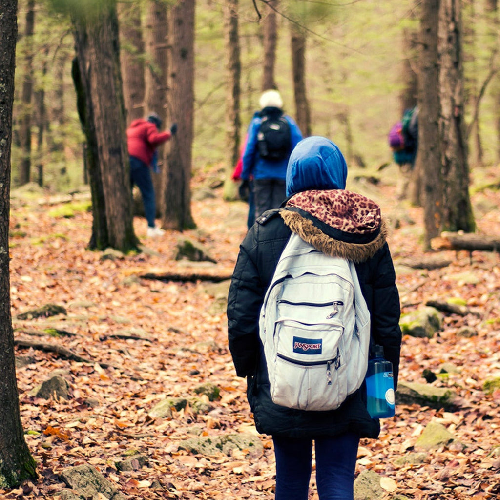 hikers walk through a fall forest