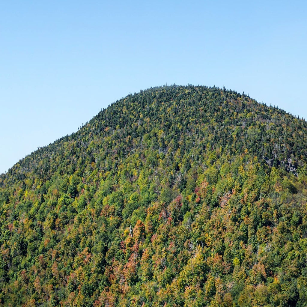 windham high peak in the catskills just changing color with fall foliage