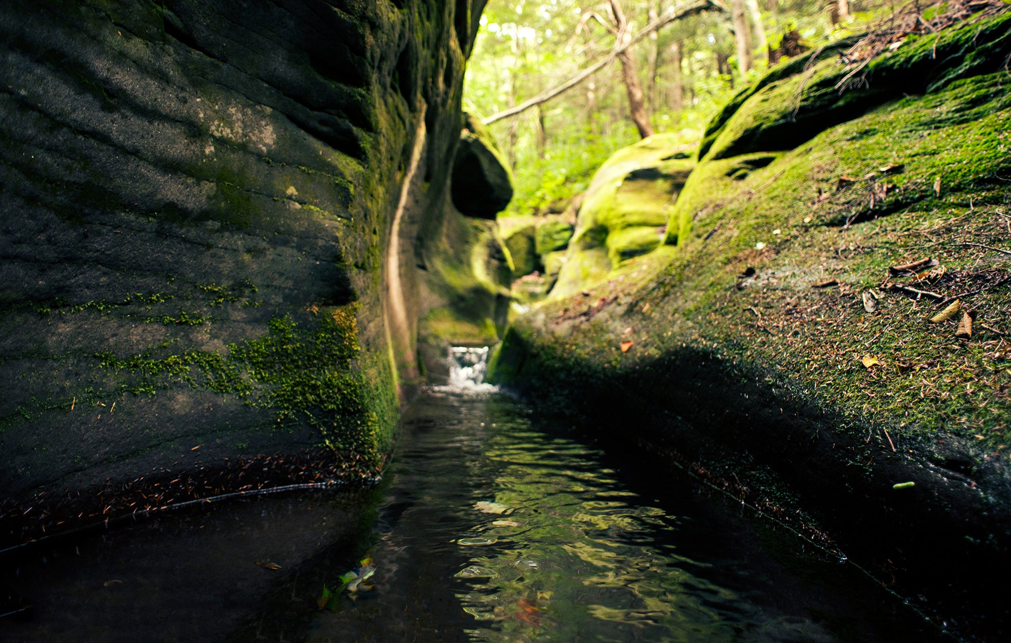 Secret Swimming Holes (7/6) Easy Hike